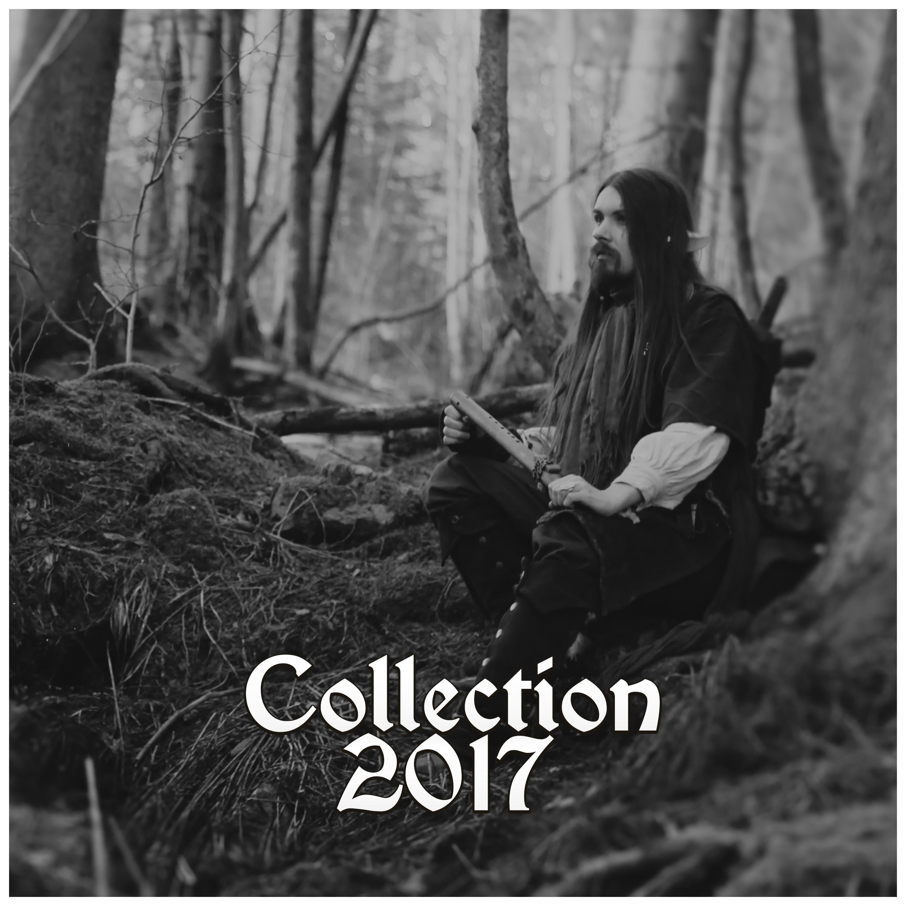 Релиз Vindsvept Collection 2017
