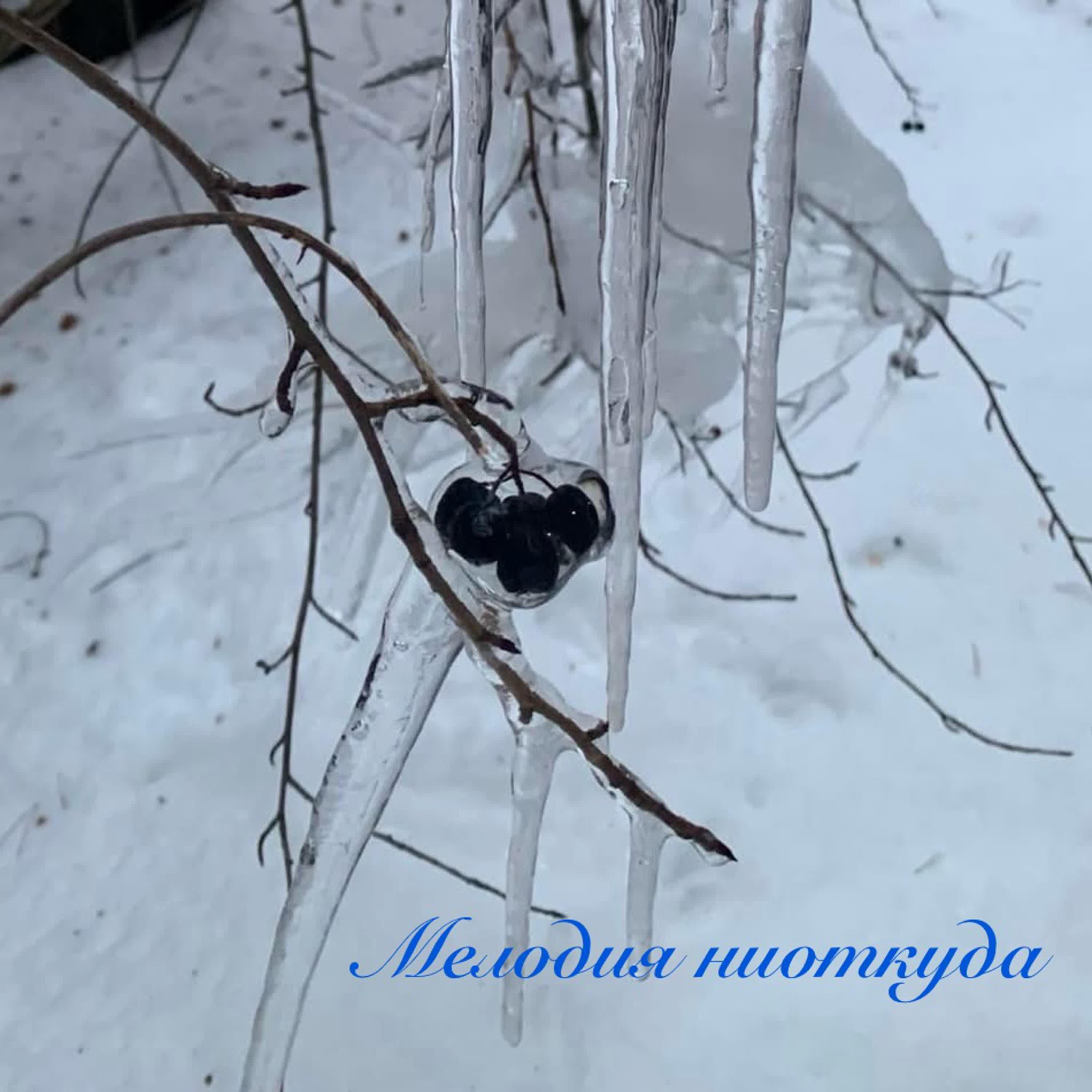 Релиз Мелодия ниоткуда