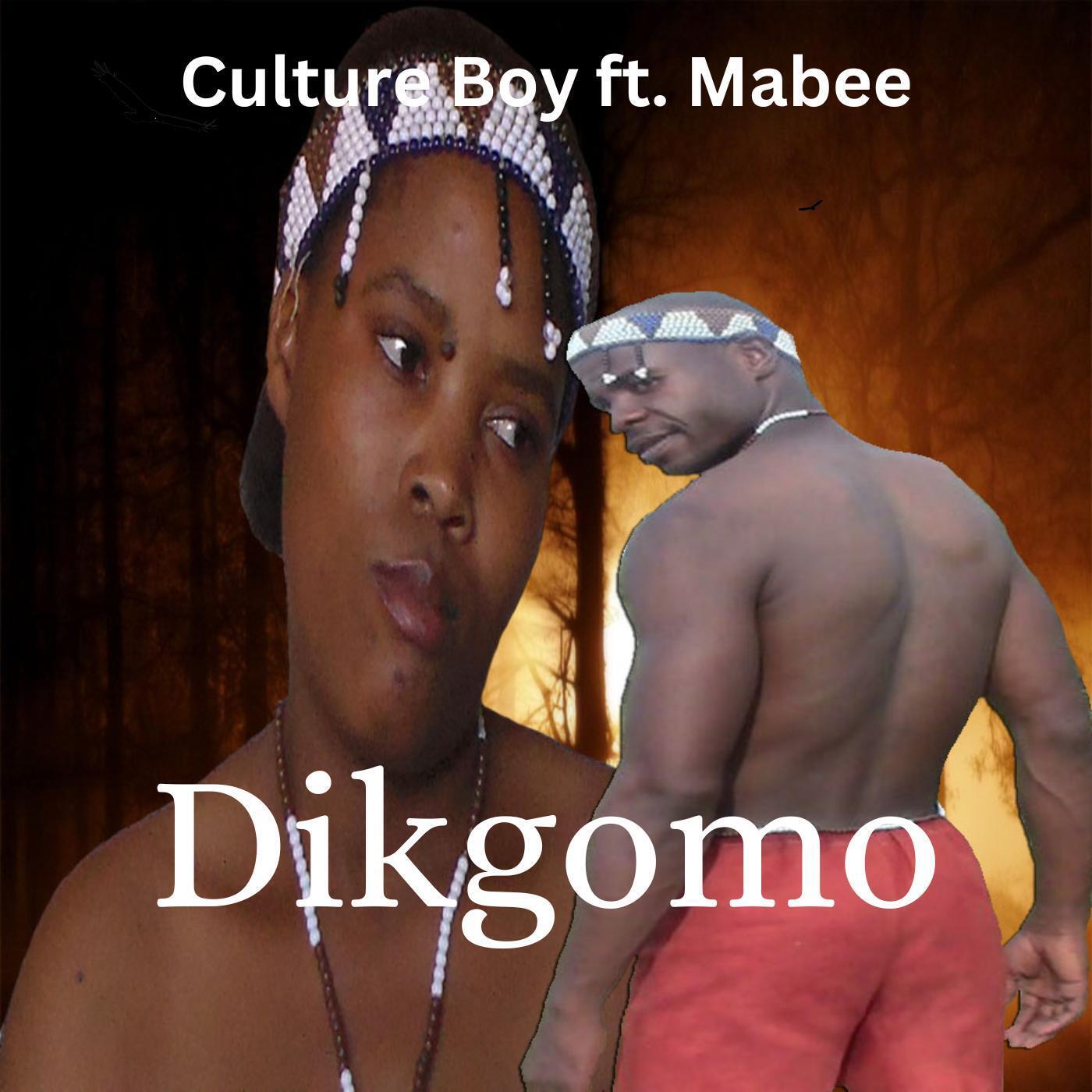 Релиз Dikgomo (feat. Mabee)