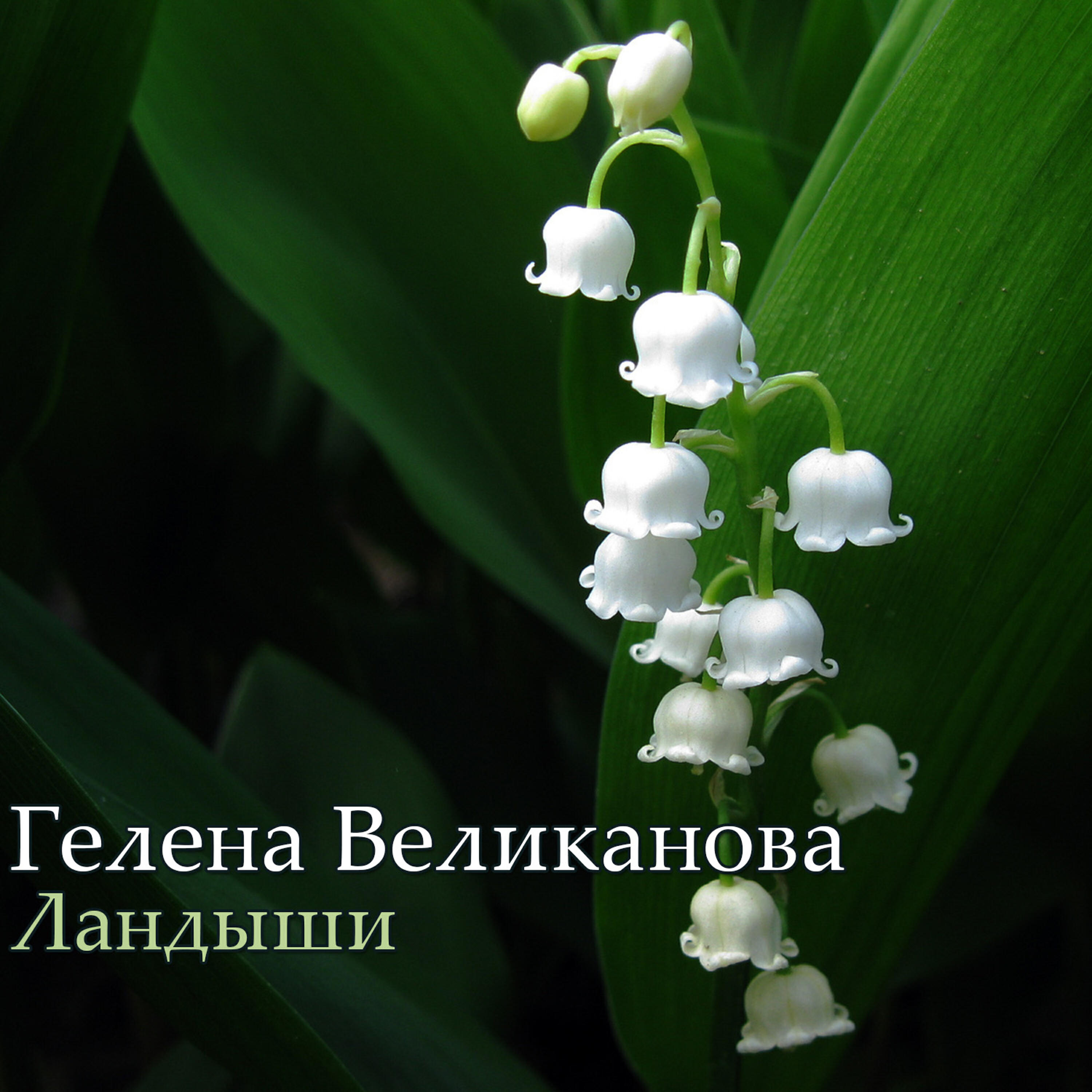 Постер альбома Ландыши