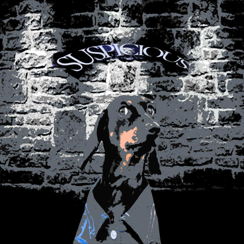 Релиз Suspicious