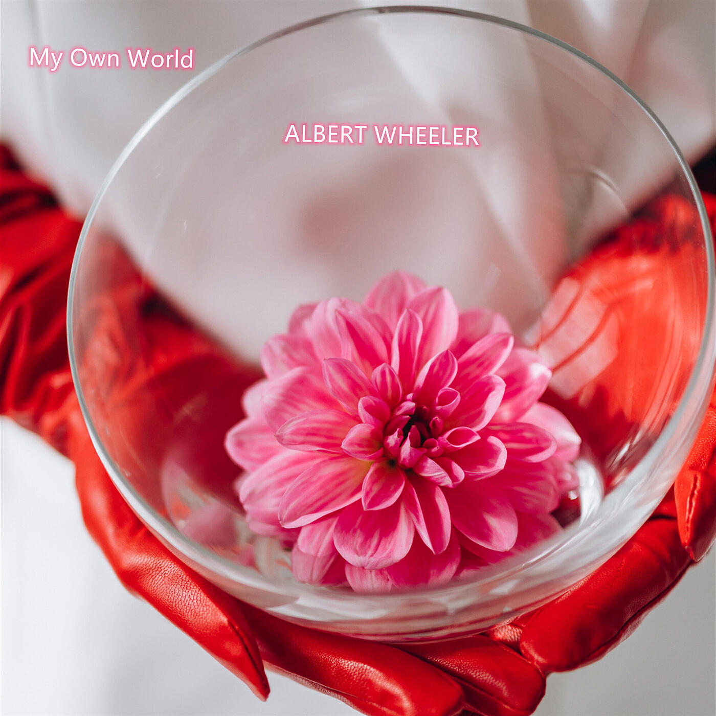 ALBERT WHEELER