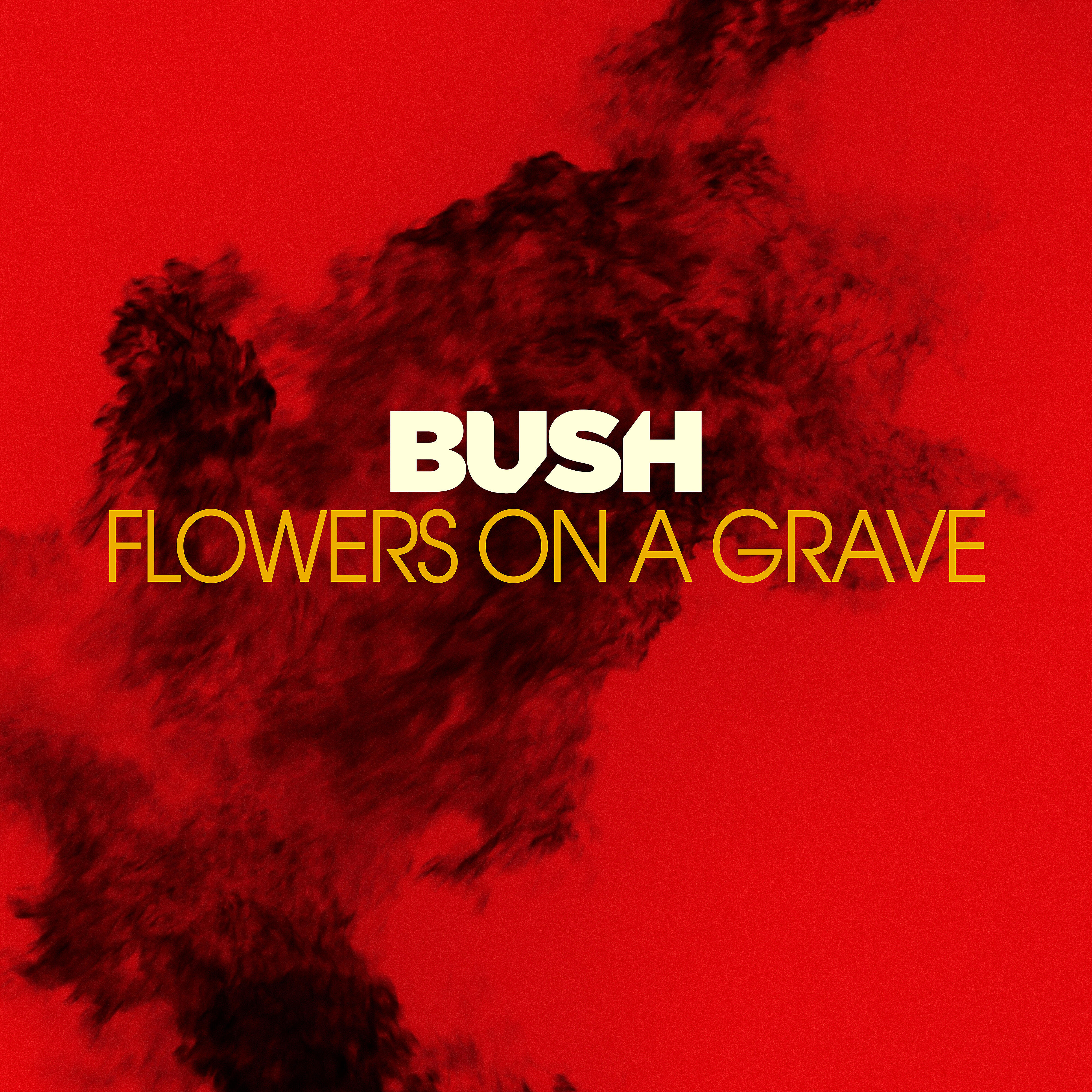 Релиз Flowers On A Grave