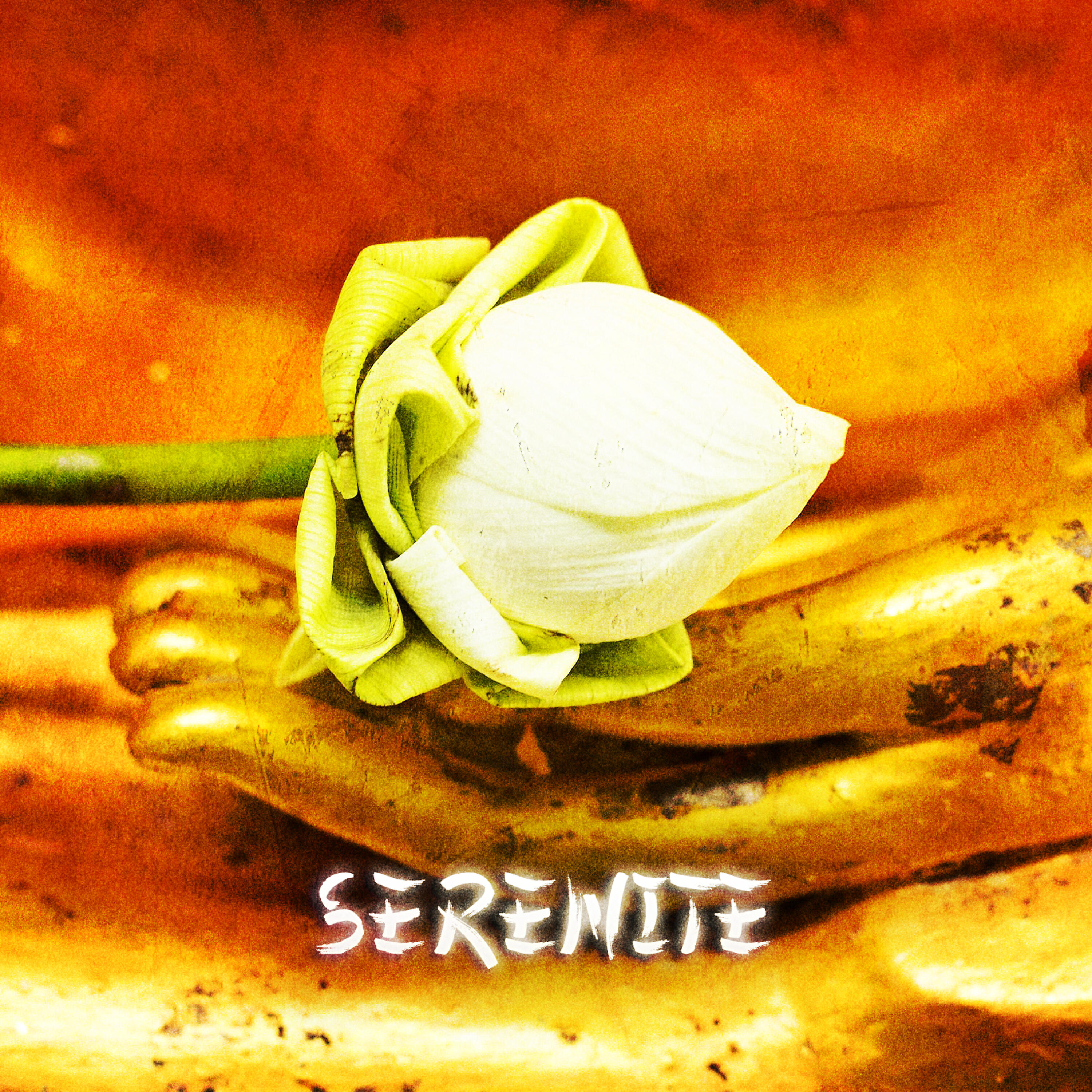 Релиз Zen & Relaxation: Sérénité