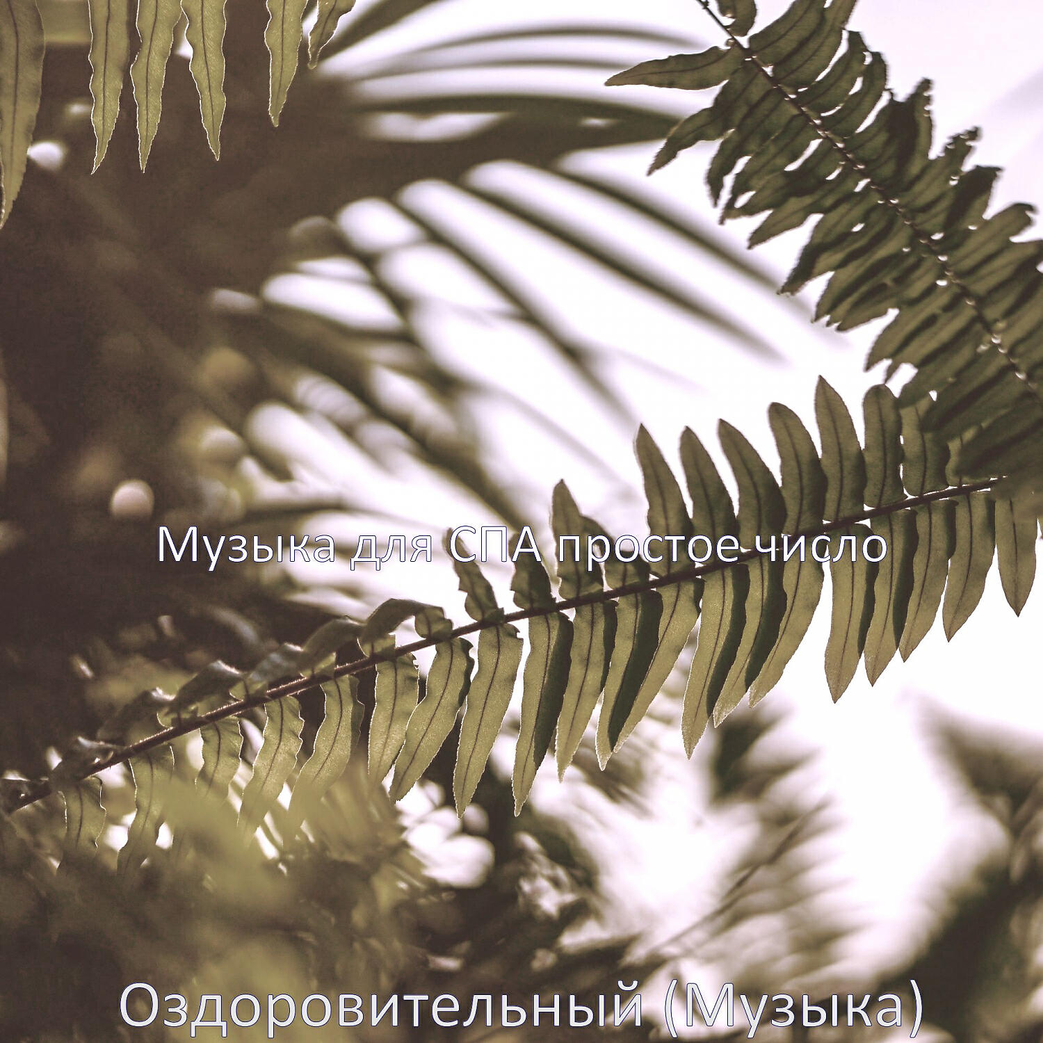 Постер альбома Оздоровительный (Музыка)