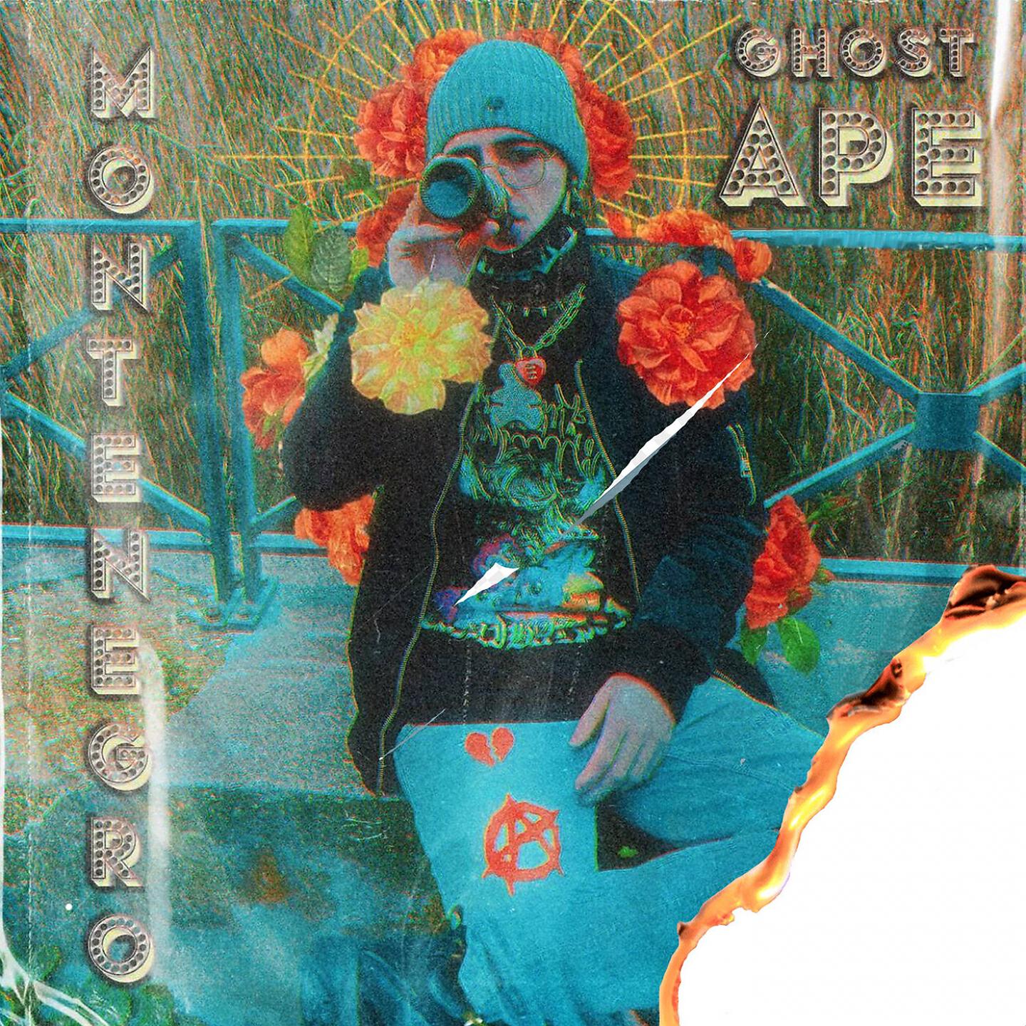 Релиз Montenegro