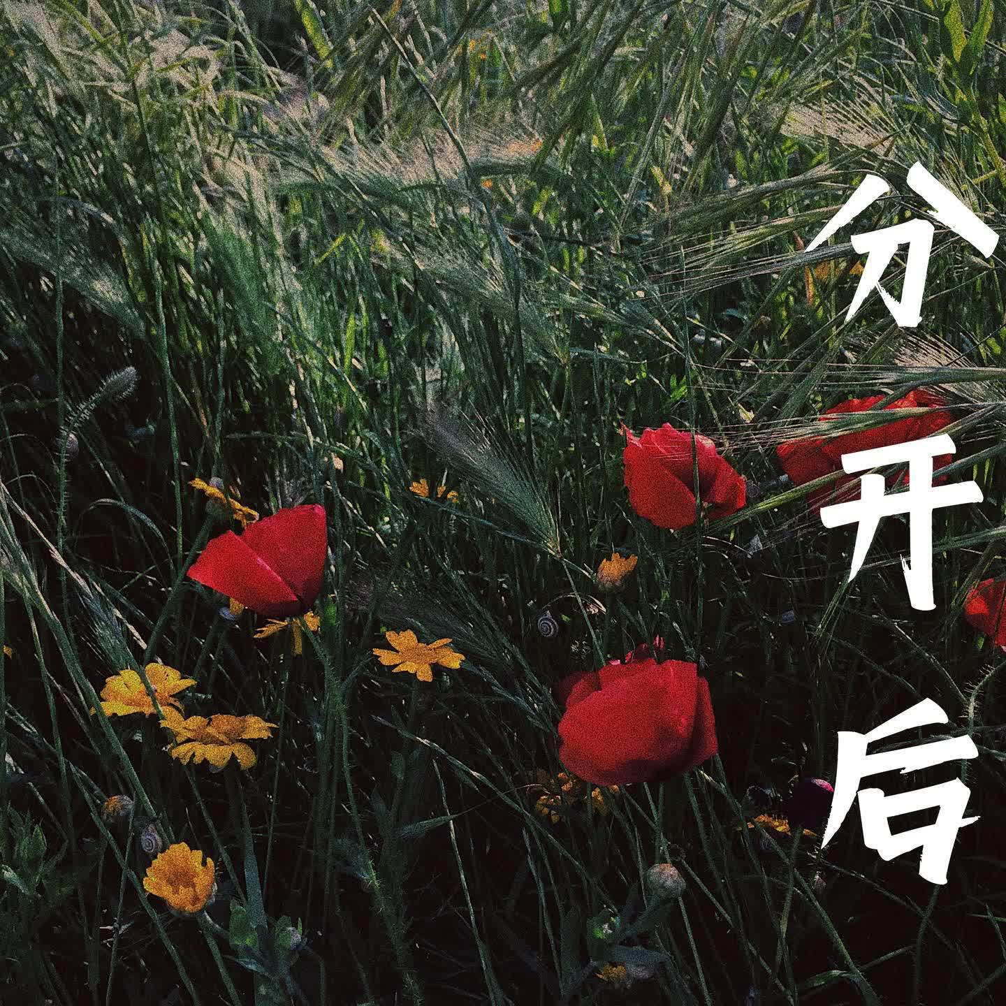 Релиз 分开后