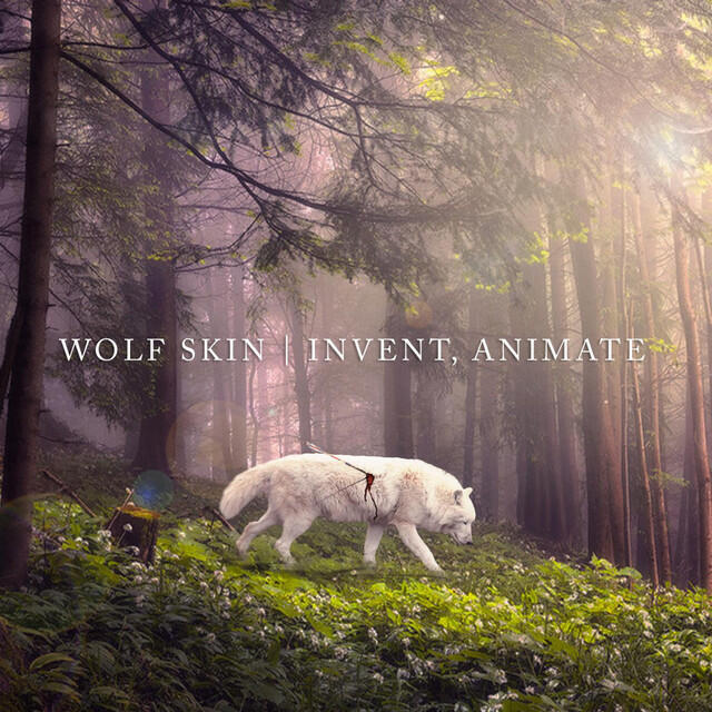 Релиз Wolf Skin