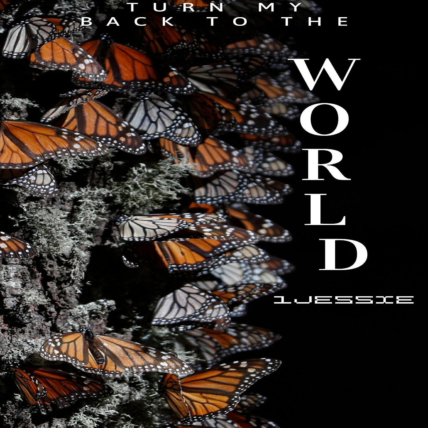 Релиз Turn My Back to the World