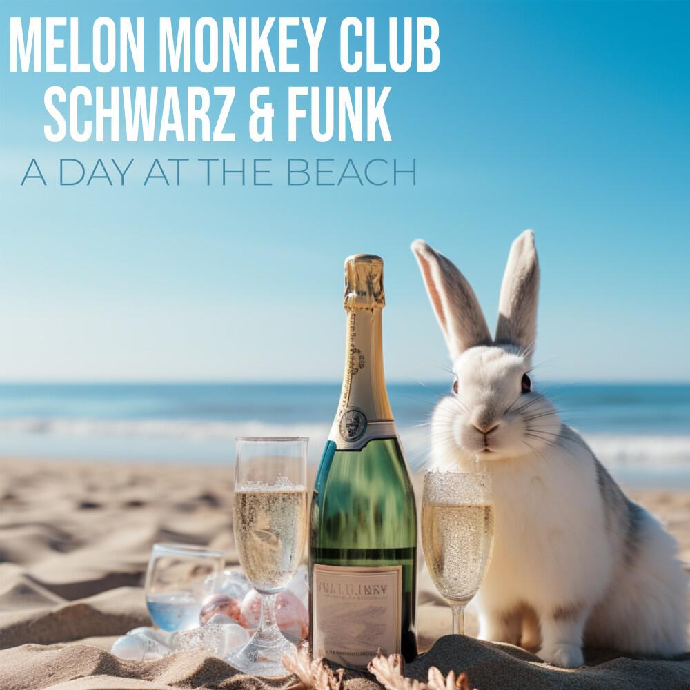 Релиз A Day at the Beach (Schwarz & Funk Remix)