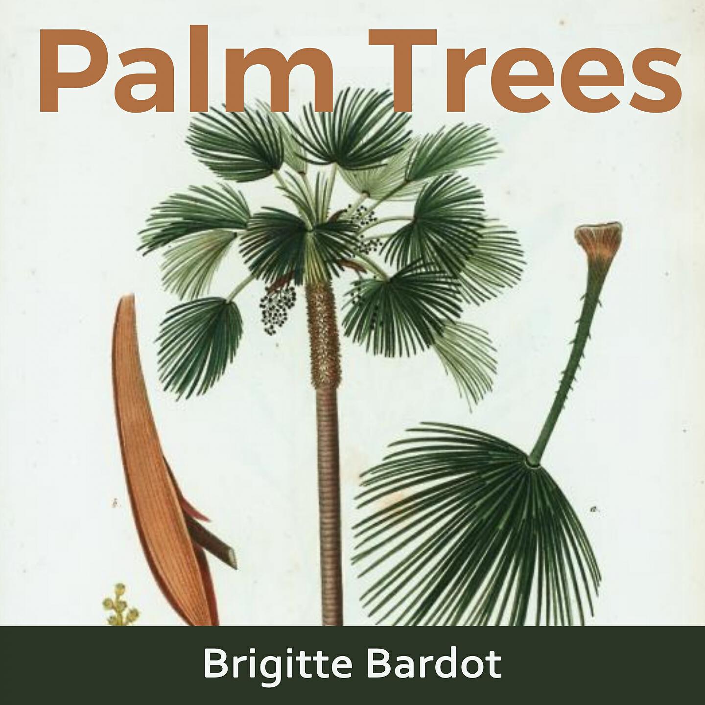 Релиз Palm Trees