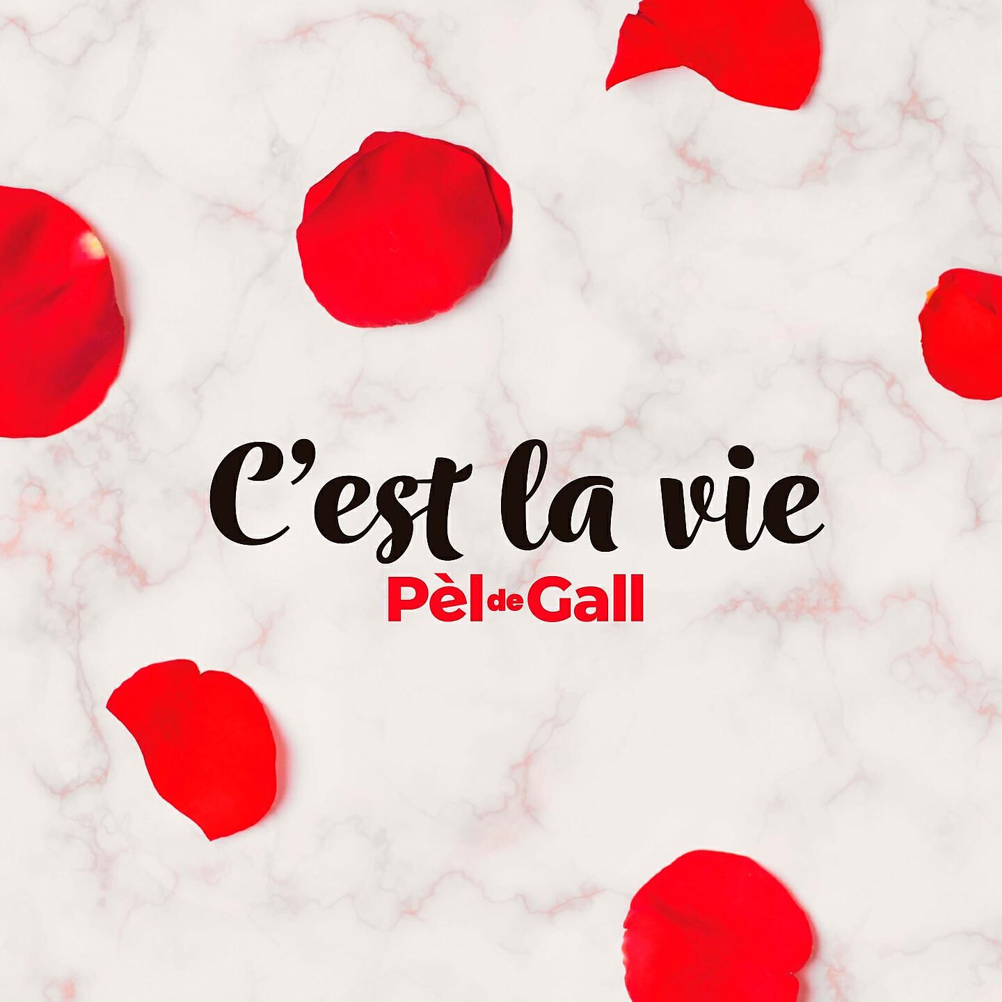 Релиз C'est la vie