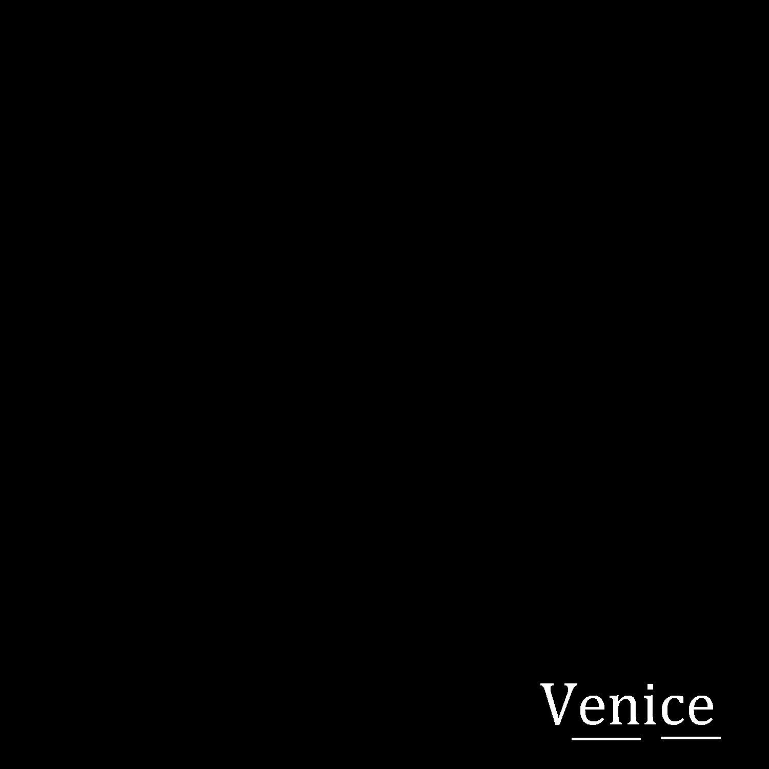 Релиз Venice