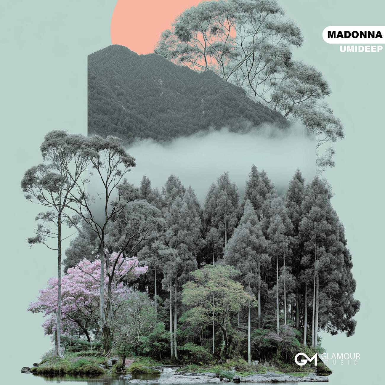 Релиз Madonna