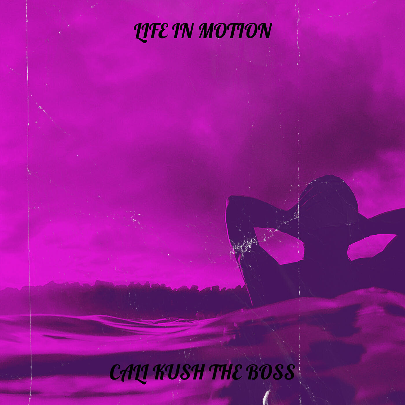 Релиз Life in Motion