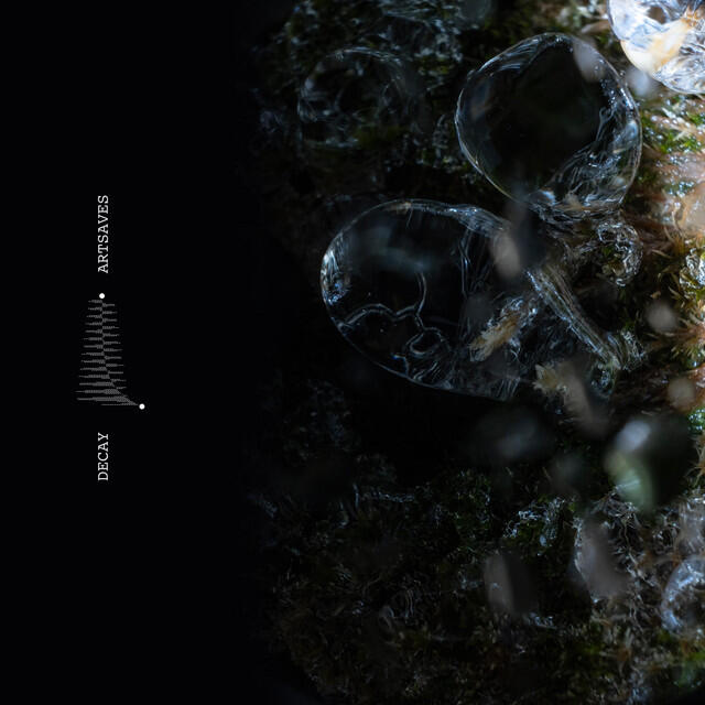 Релиз Decay