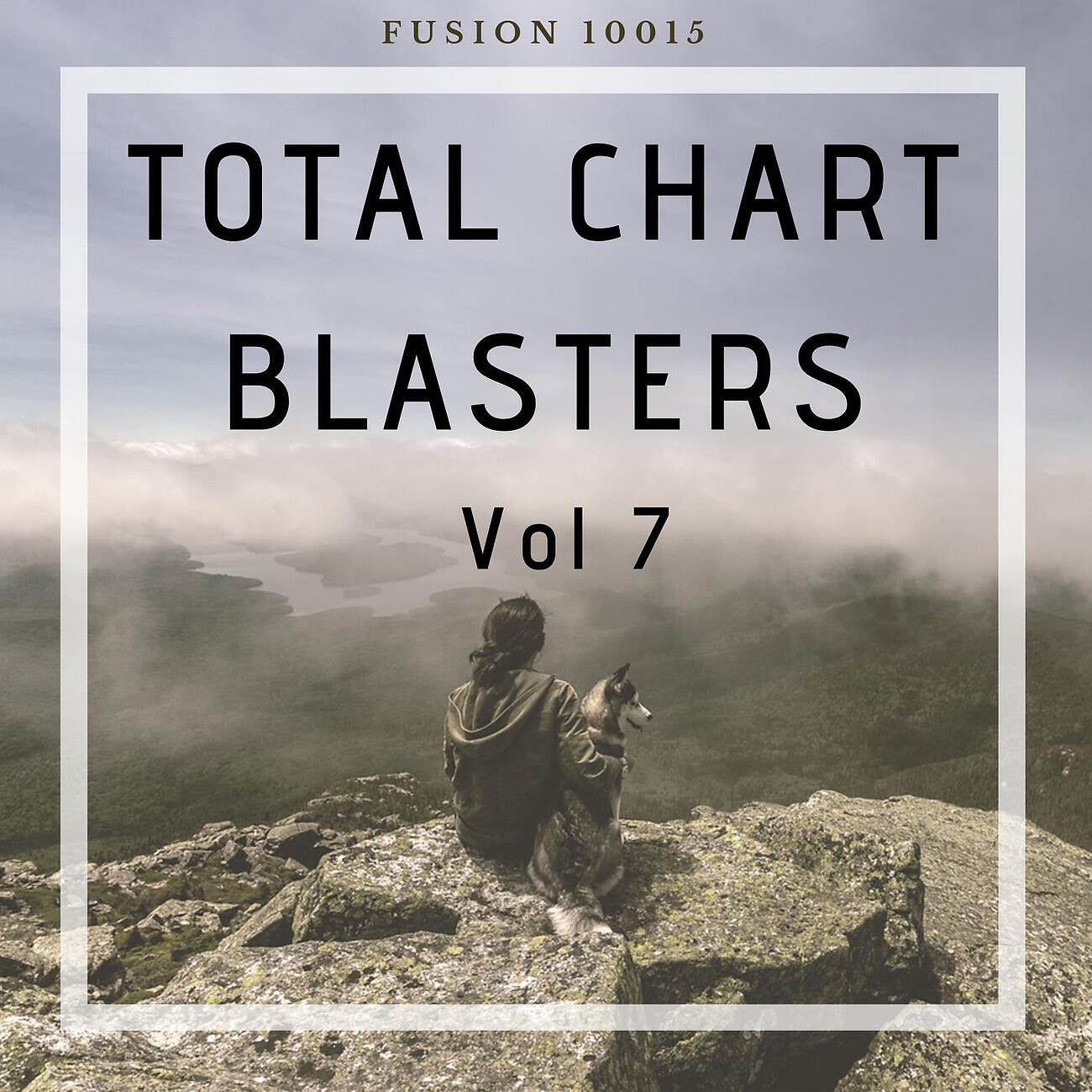 Релиз Total Chart Blasters Vol 7