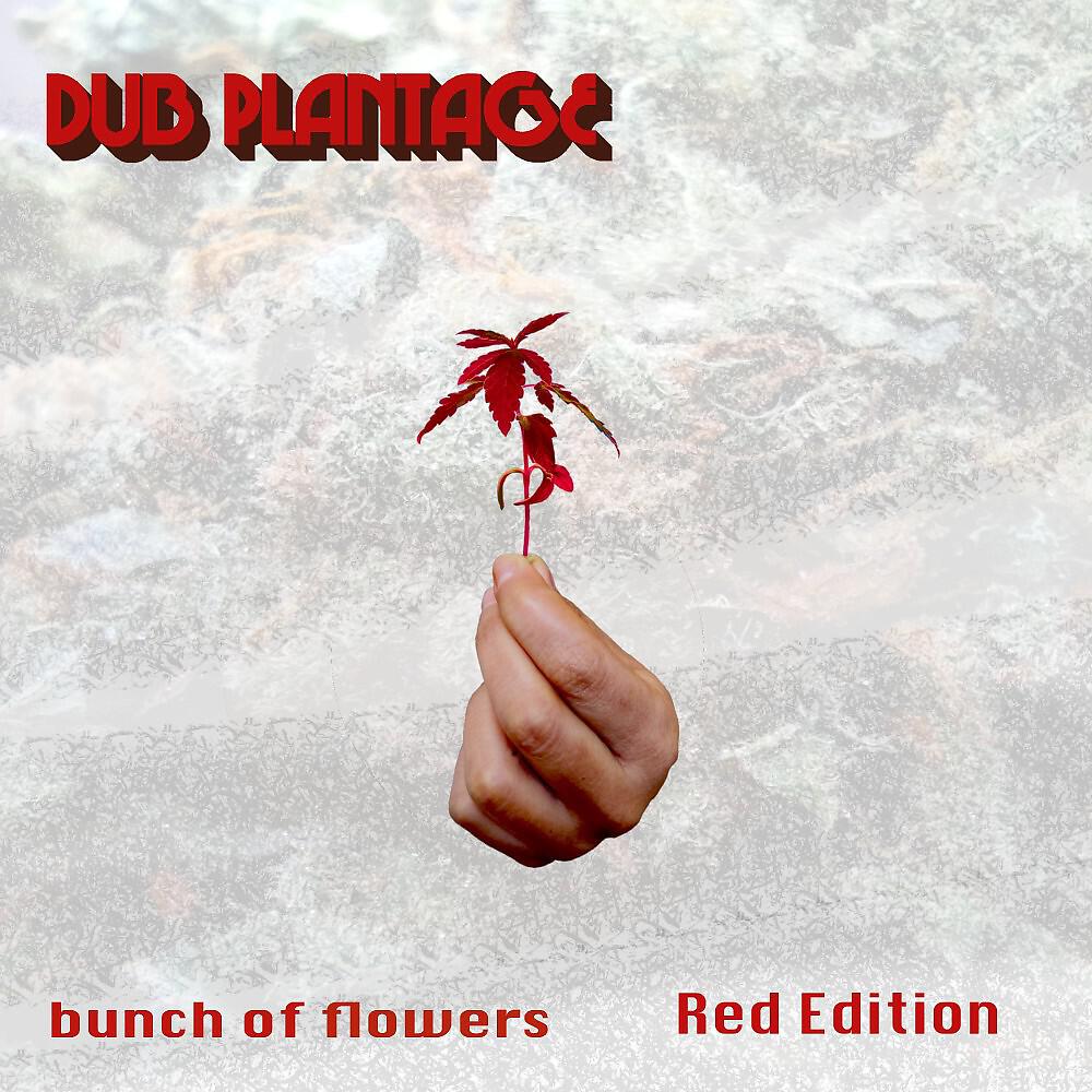 Релиз Bunch of Flowers (Red Edition)