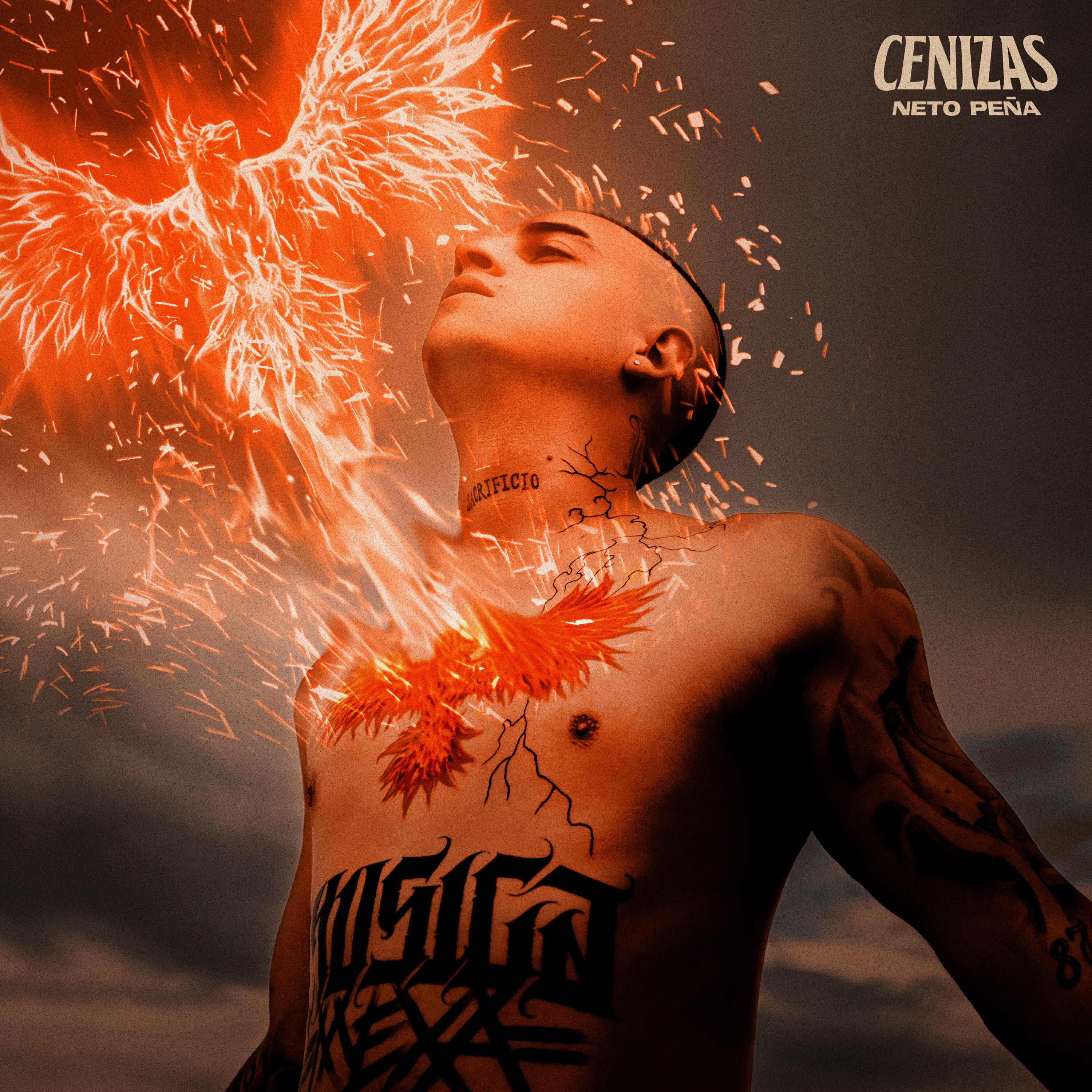 Релиз Cenizas