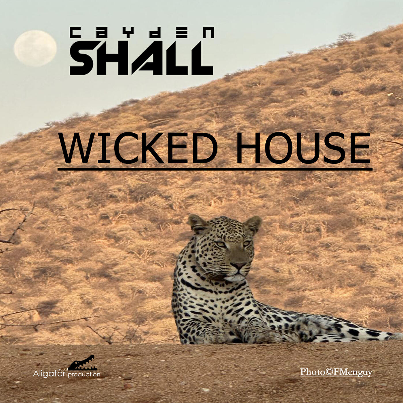 Релиз Wicked House
