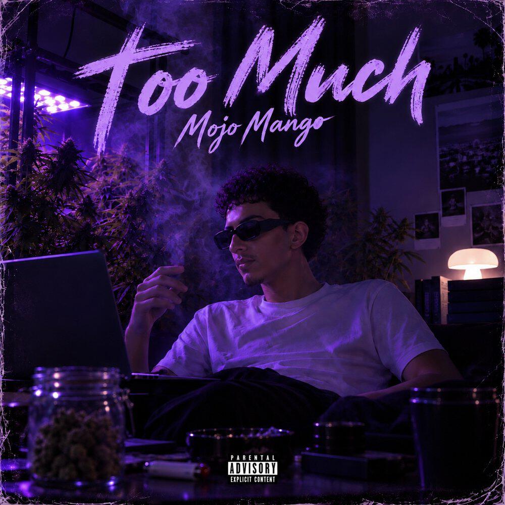 Релиз Too Much