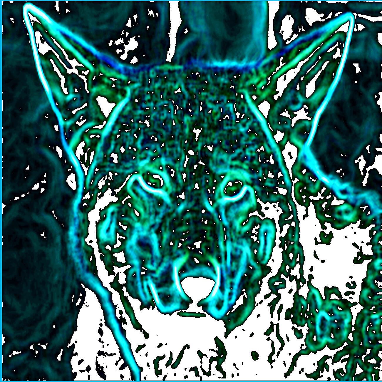 Spectral Sevenths, Chill and Reading and Studying Music - Wolfie's Bad Hair Day