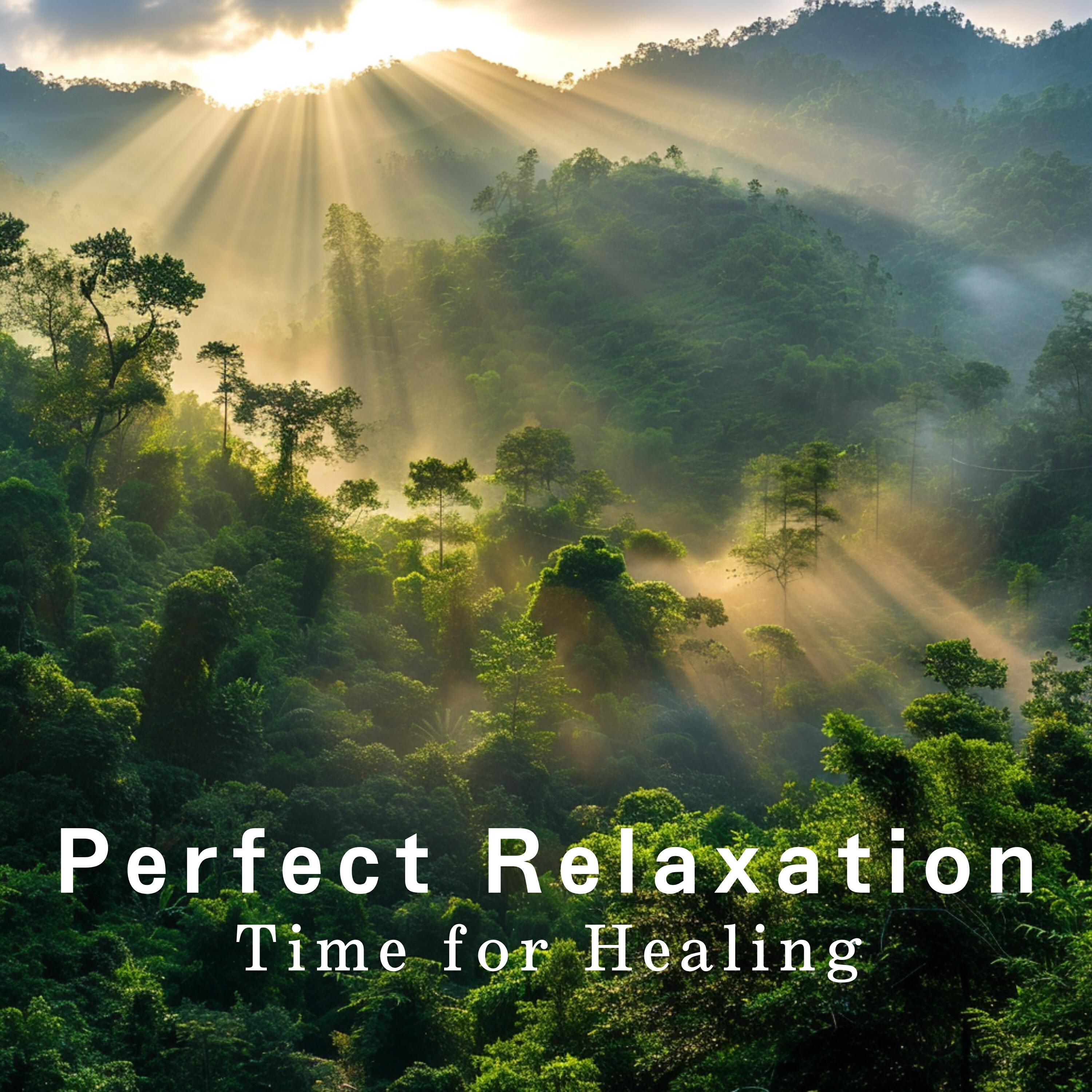 Релиз Perfect Relaxation - Time for Healing