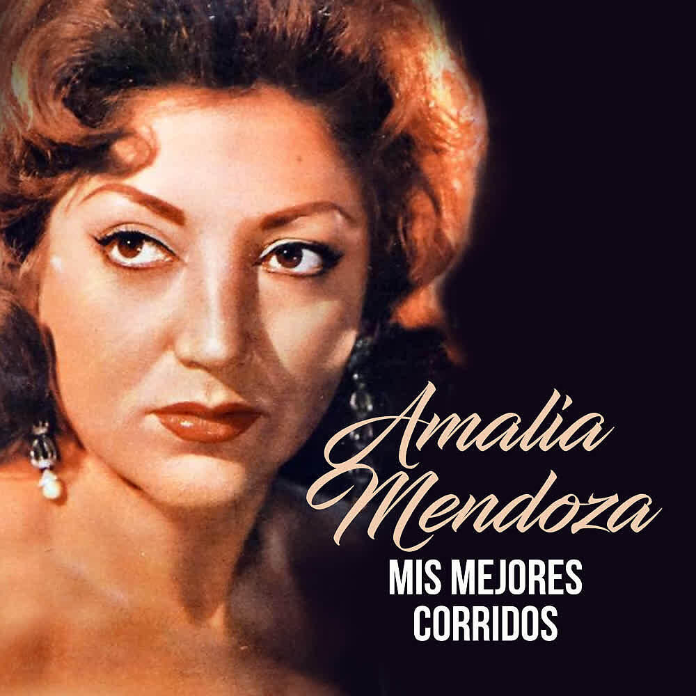 Постер альбома Mis Mejores Corridos