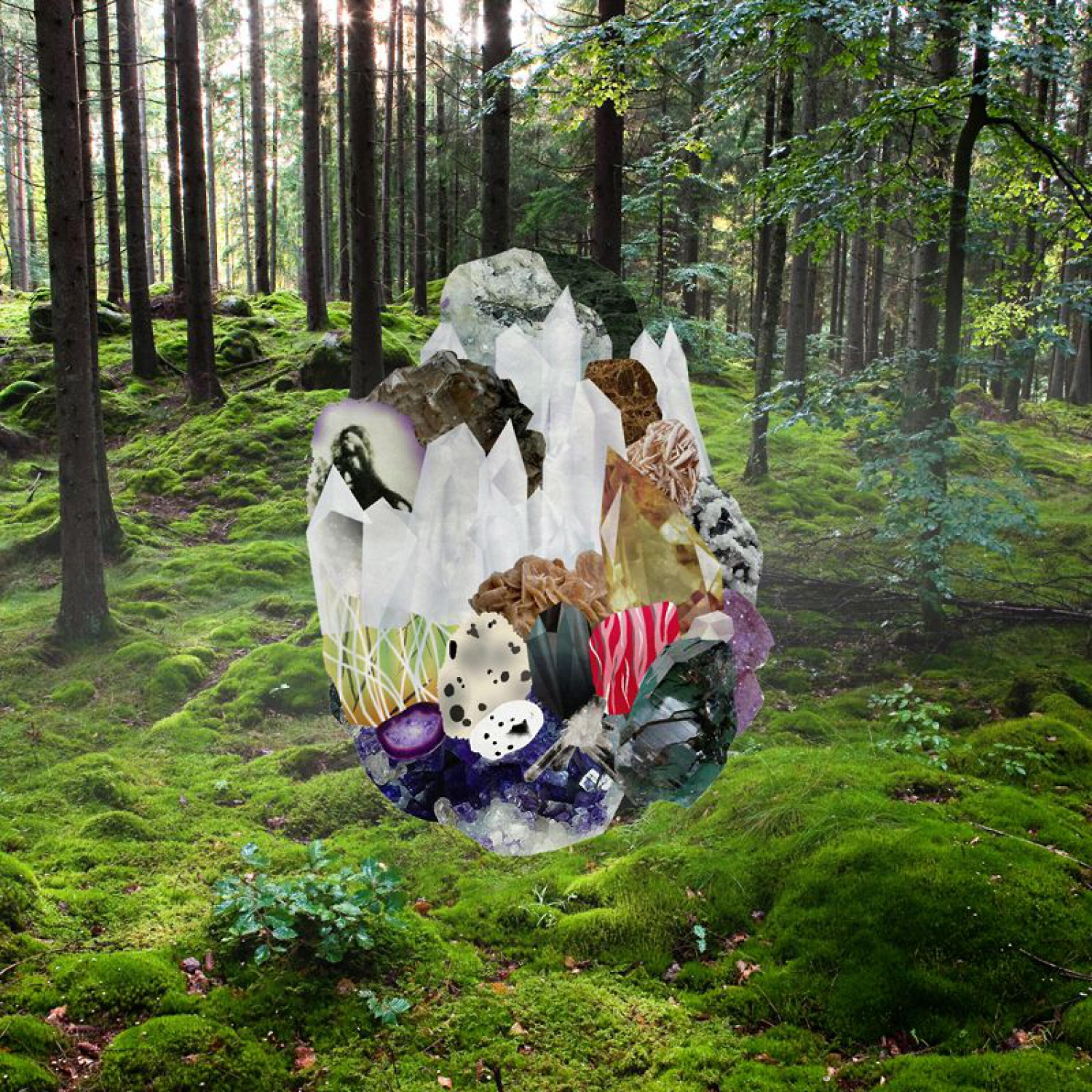 Релиз Veil Waltz