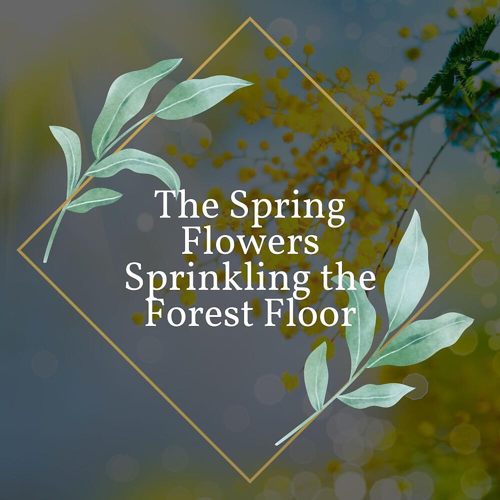 Релиз The Spring Flowers Sprinkling the Forest Floor