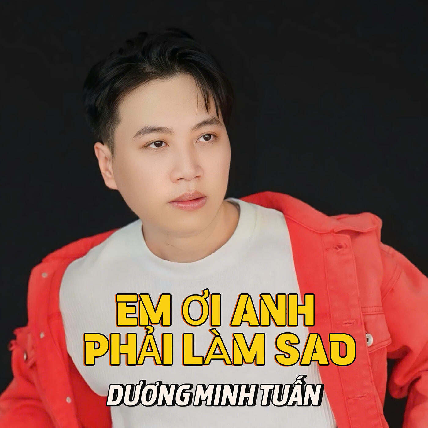 Релиз Em Ơi Anh Phải Làm Sao