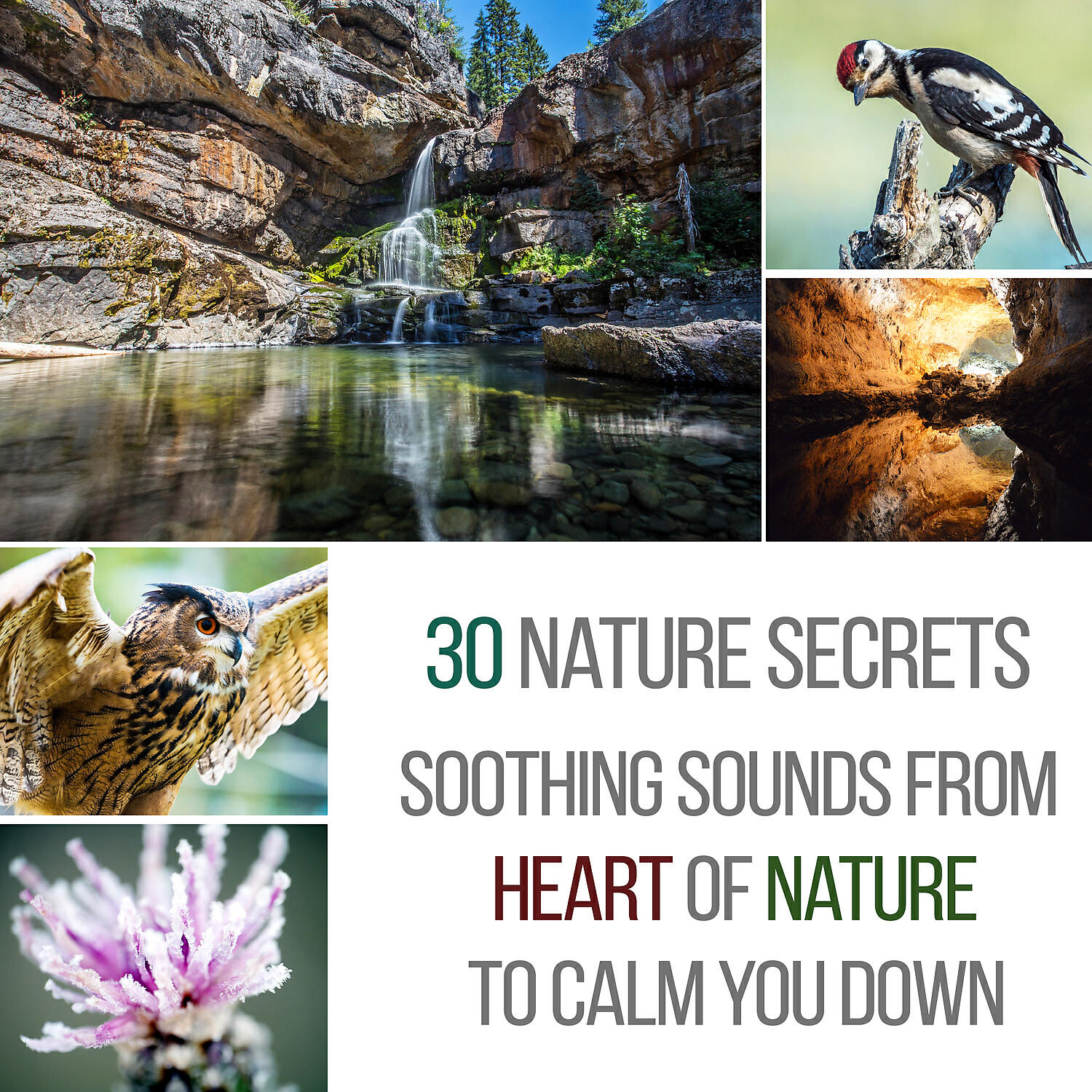 Релиз 30 Nature Secrets - Soothing Sounds from the Heart of Nature to Calm You Down: Fight Stress & Fear, Beat Insomnia, Yoga Routine, Mindfulness, Aurveda & Beauty Spa Massage