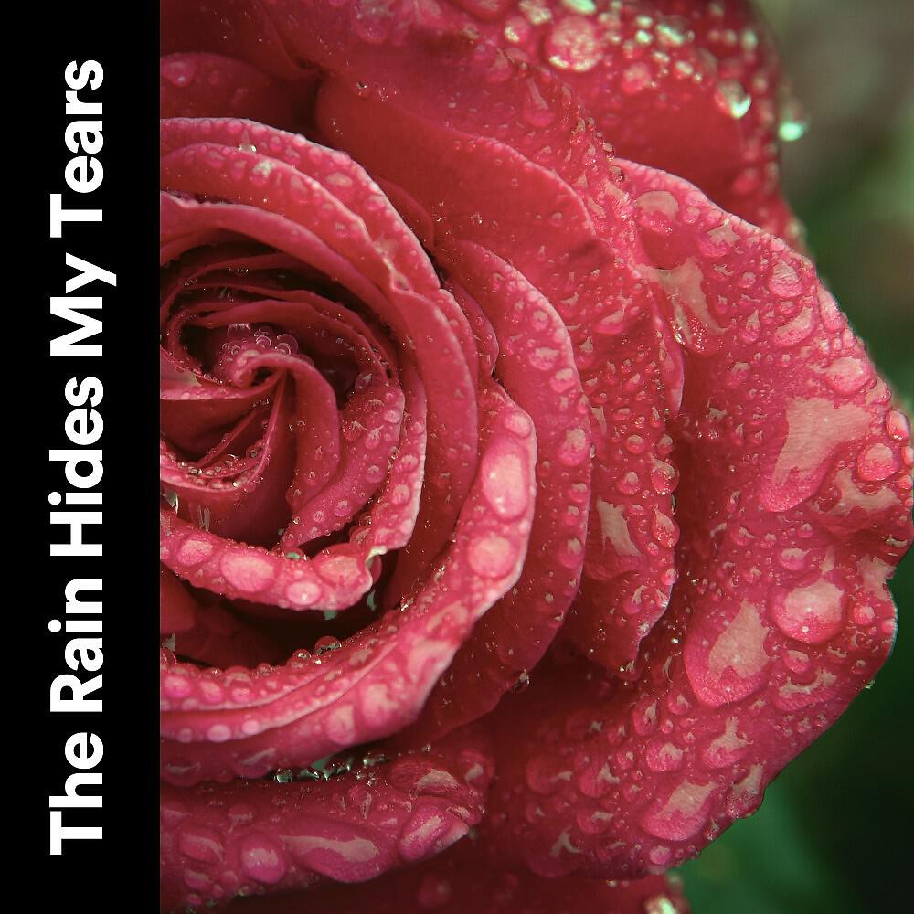 Релиз The Rain Hides My Tears