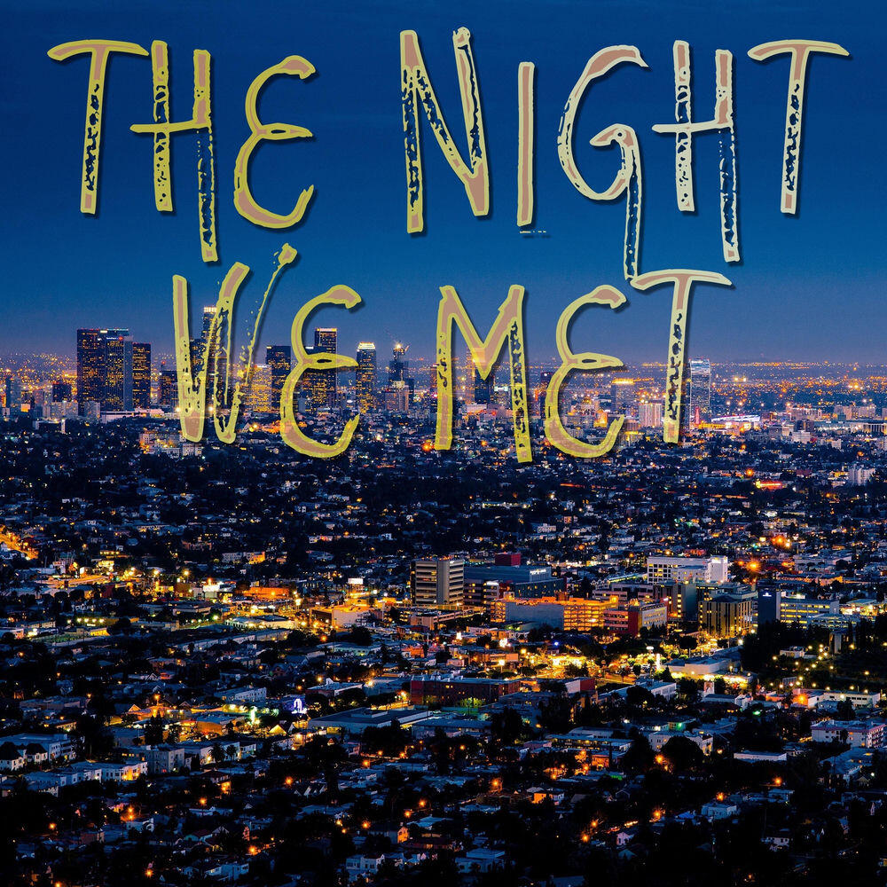 Релиз The Night We Met (Instrumental)