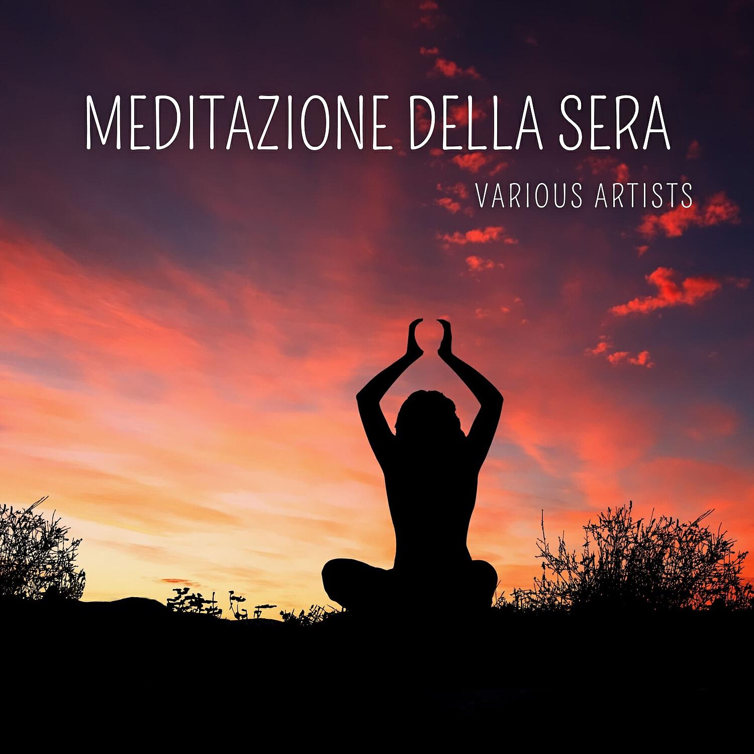 Постер альбома Meditazione della sera