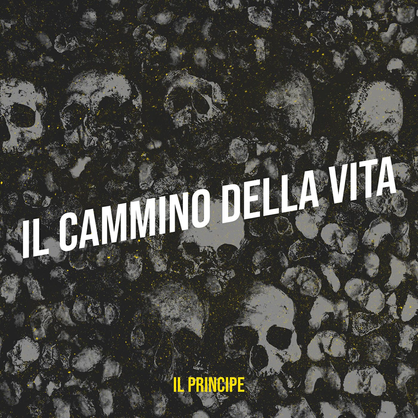 Релиз Il cammino della vita