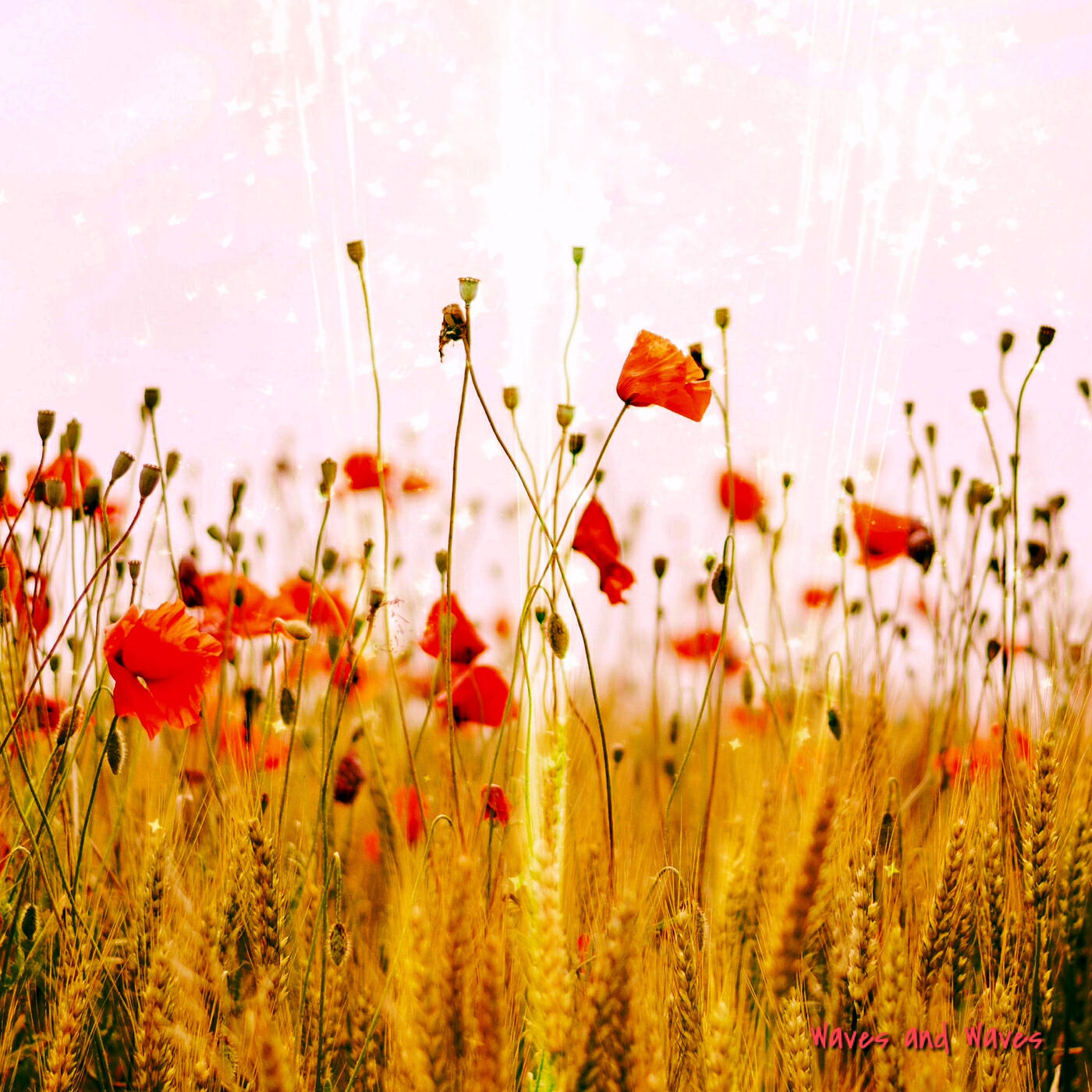 Релиз Ethereal Landscapes