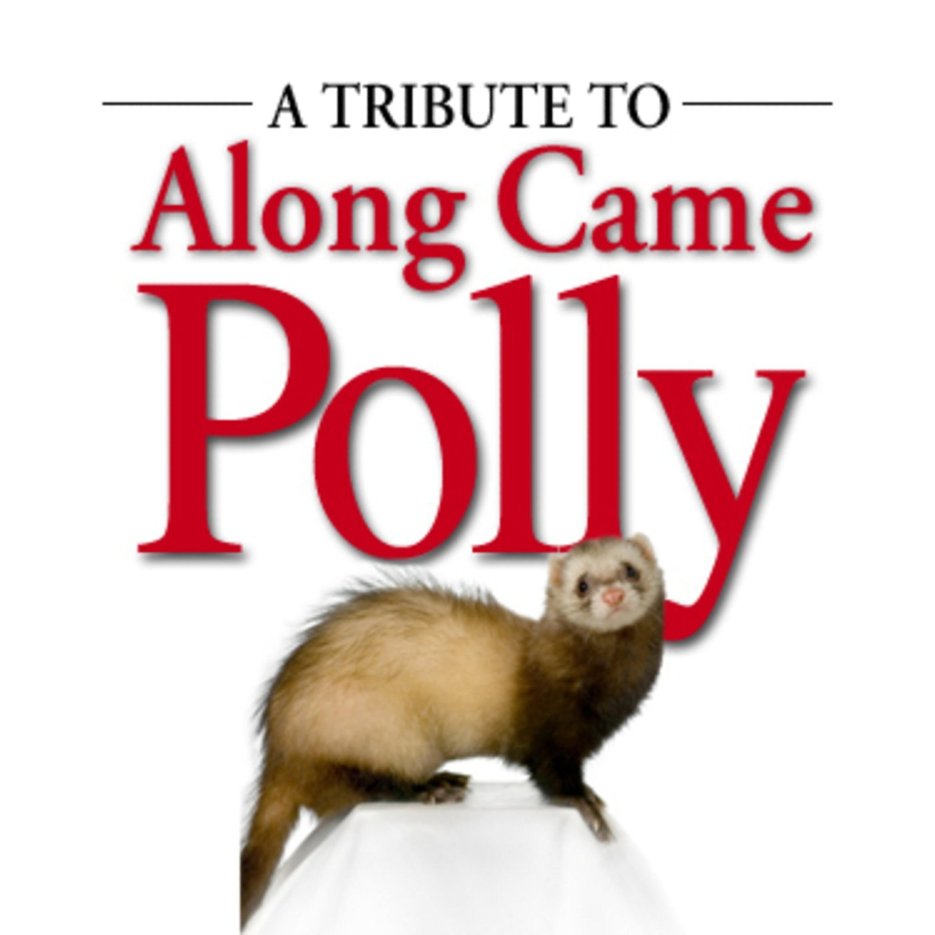 Релиз A Tribute To Along Came Polly