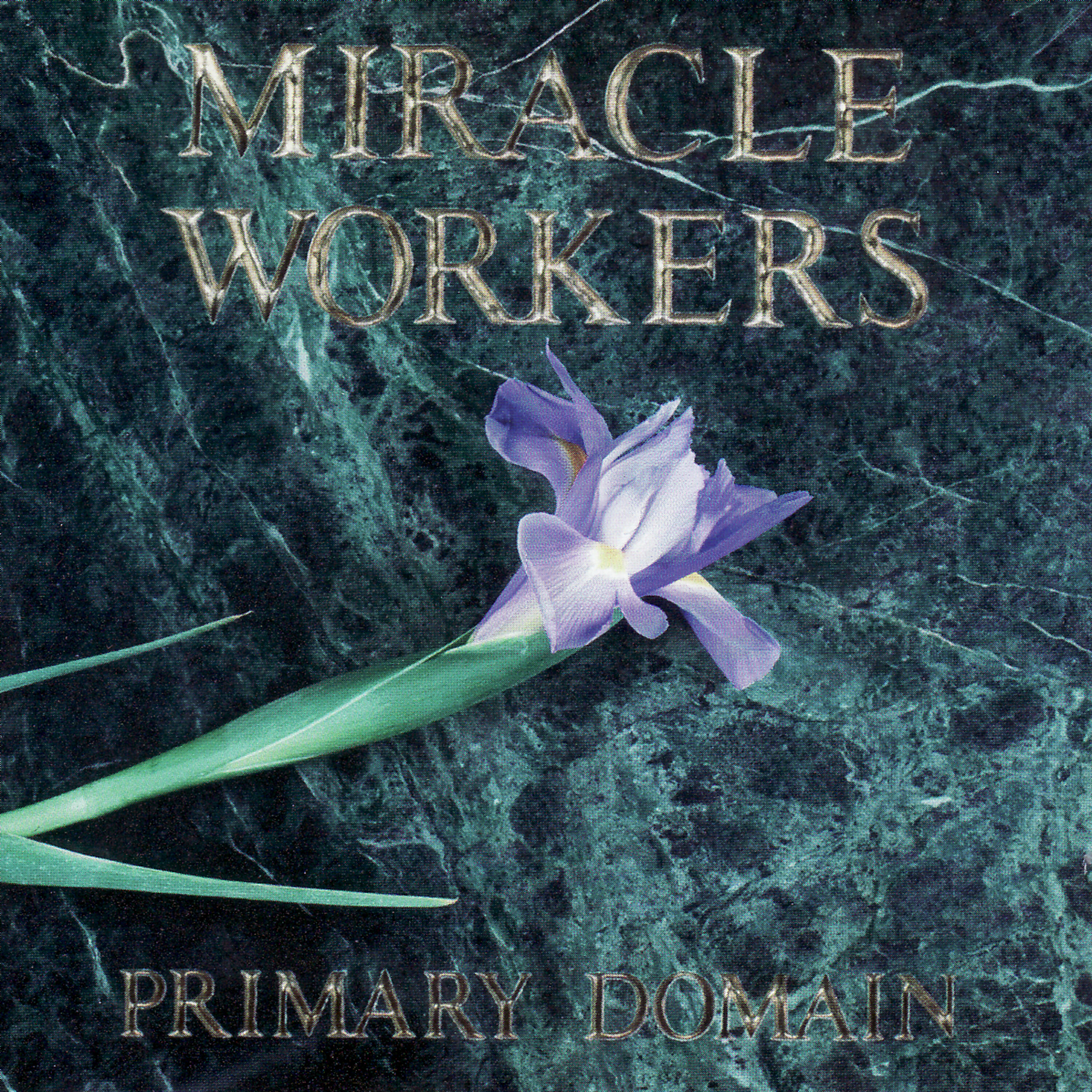 Релиз Primary Domain