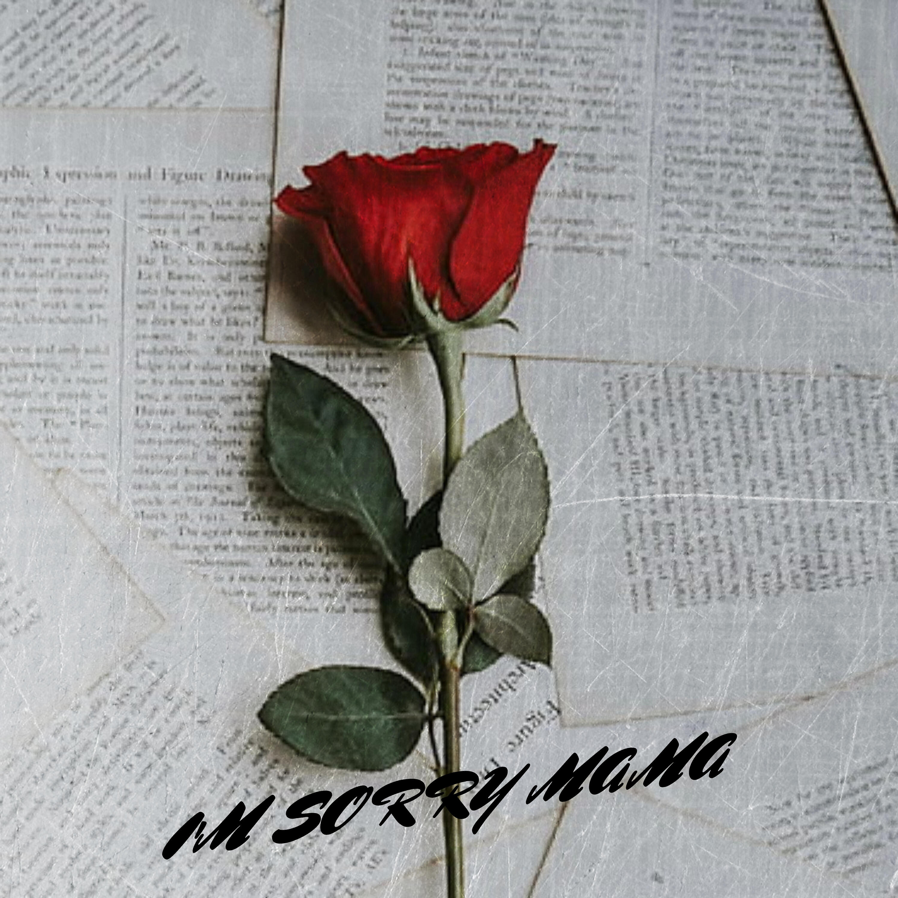 Релиз Im Sorry Mama