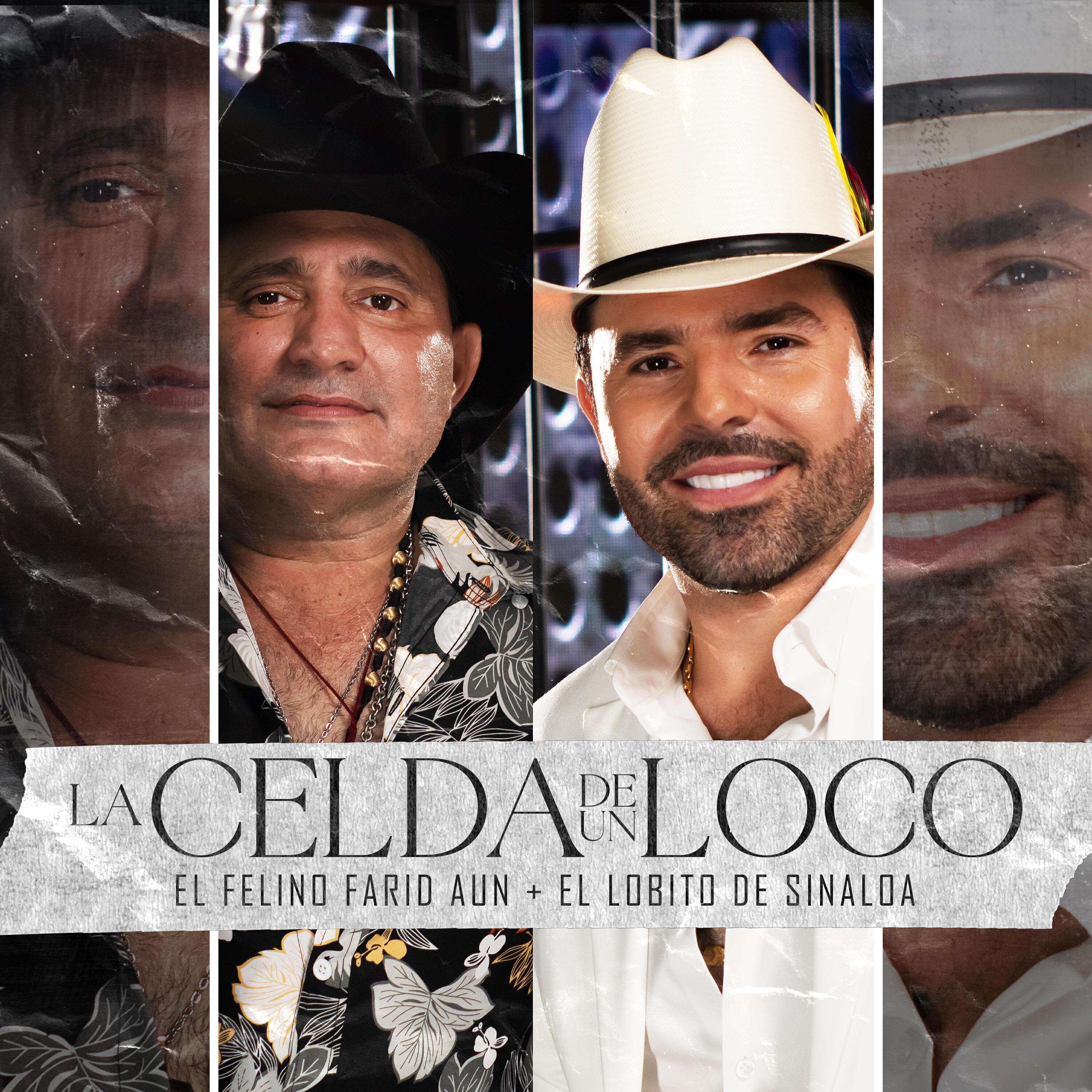Релиз La Celda de un Loco el Felino Farid Aun,El Lobito de Sinaloa