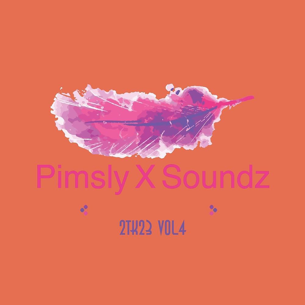 Релиз Pimsly X Soundz 2TK23, Vol. 4