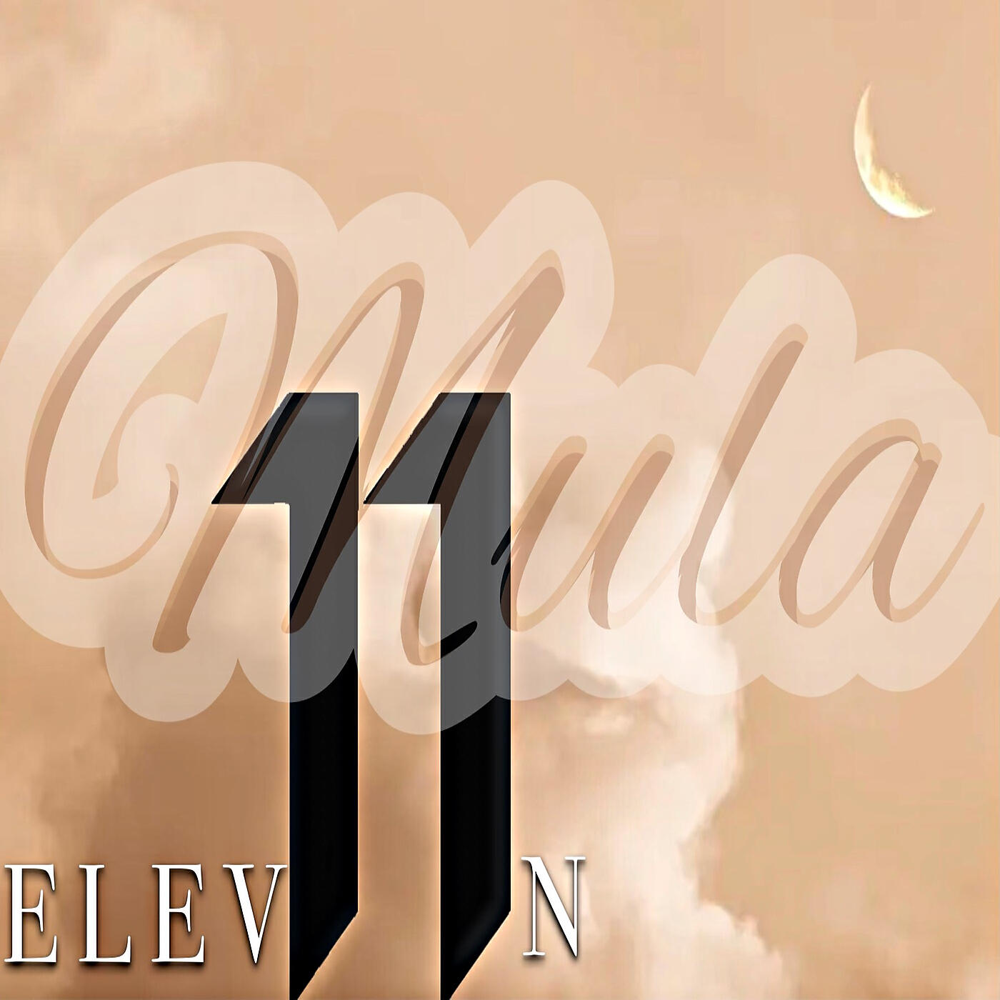 Релиз Elev11n