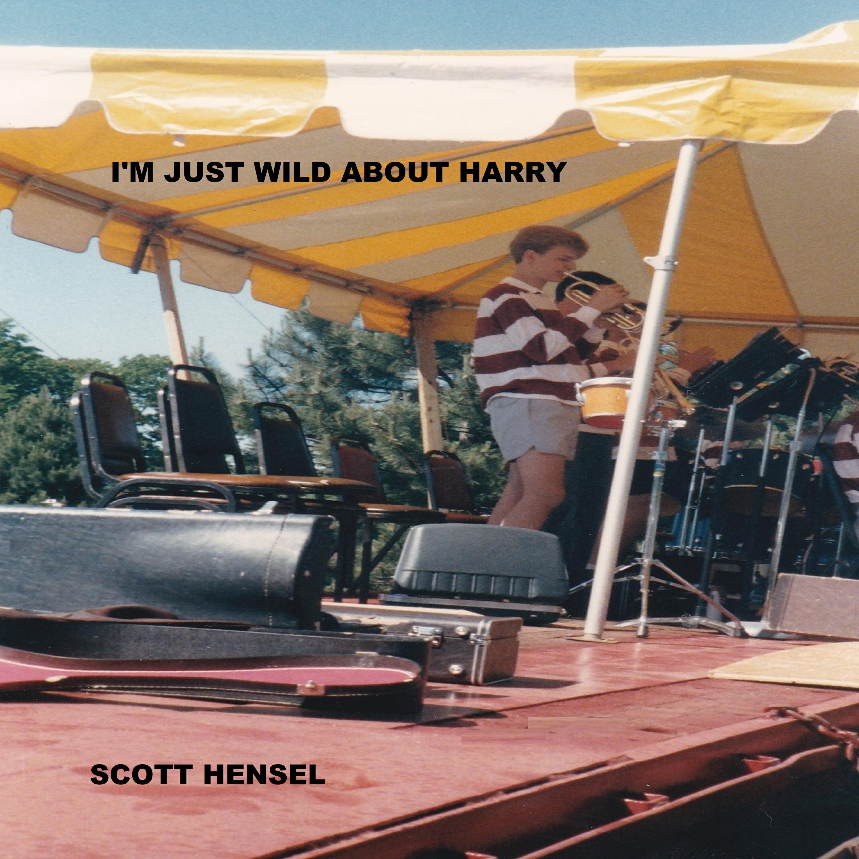 Релиз I'm Just Wild About Harry