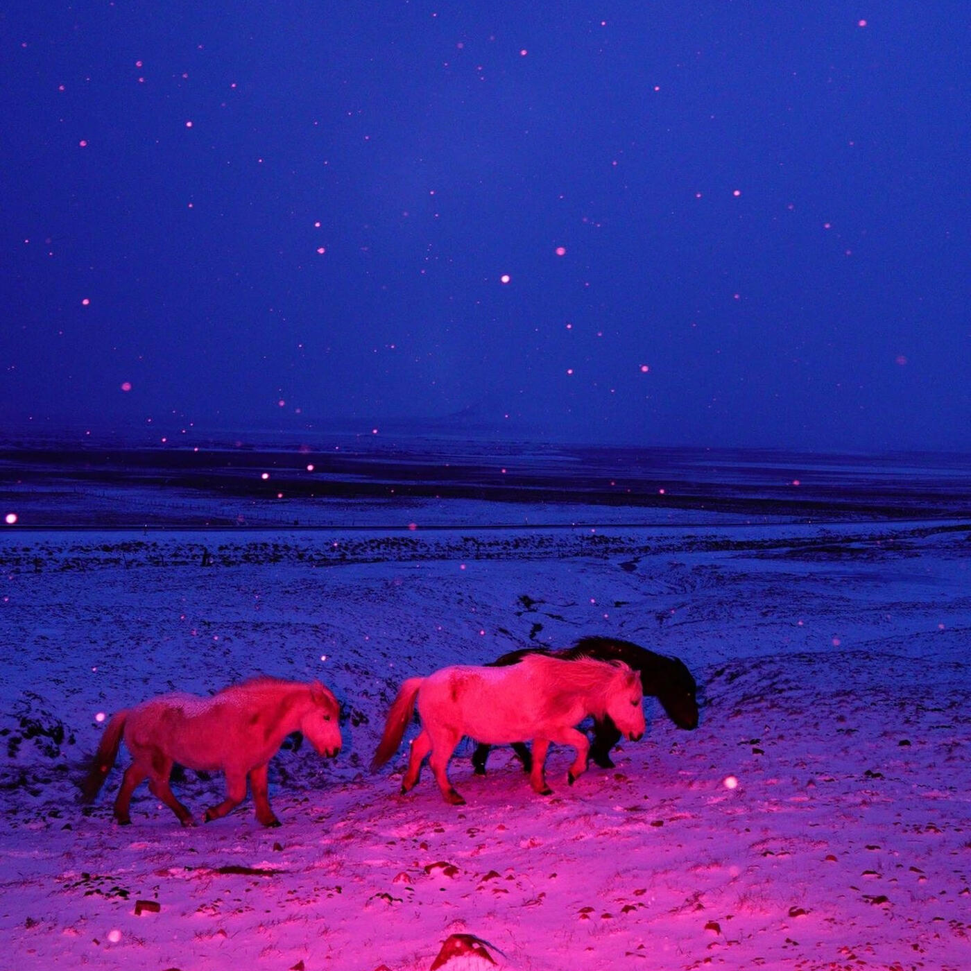 Релиз Blush