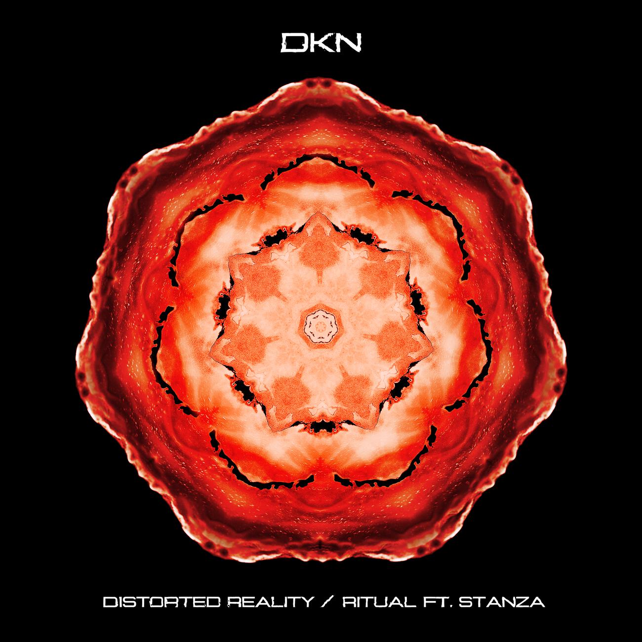 Релиз Distorted Reality / Ritual