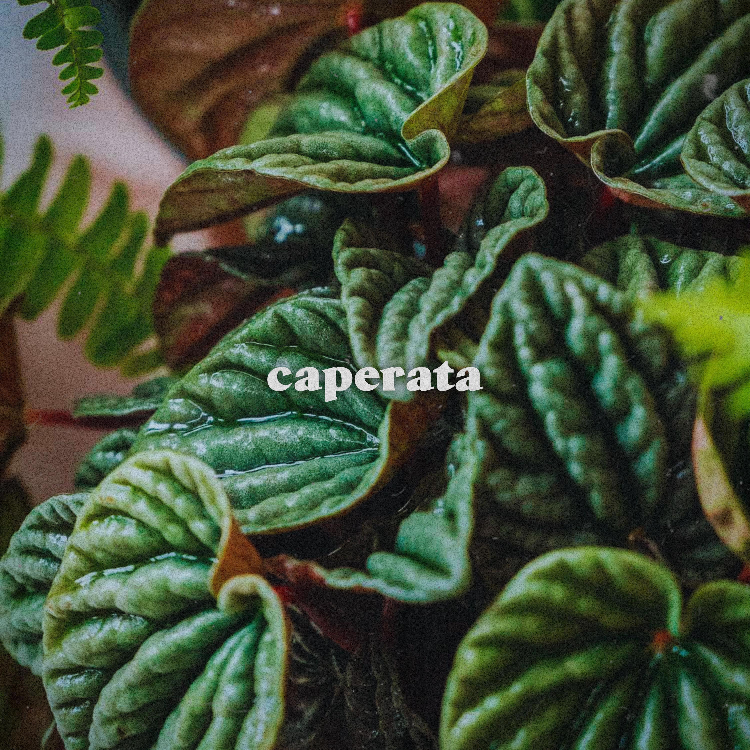 Трек caperata