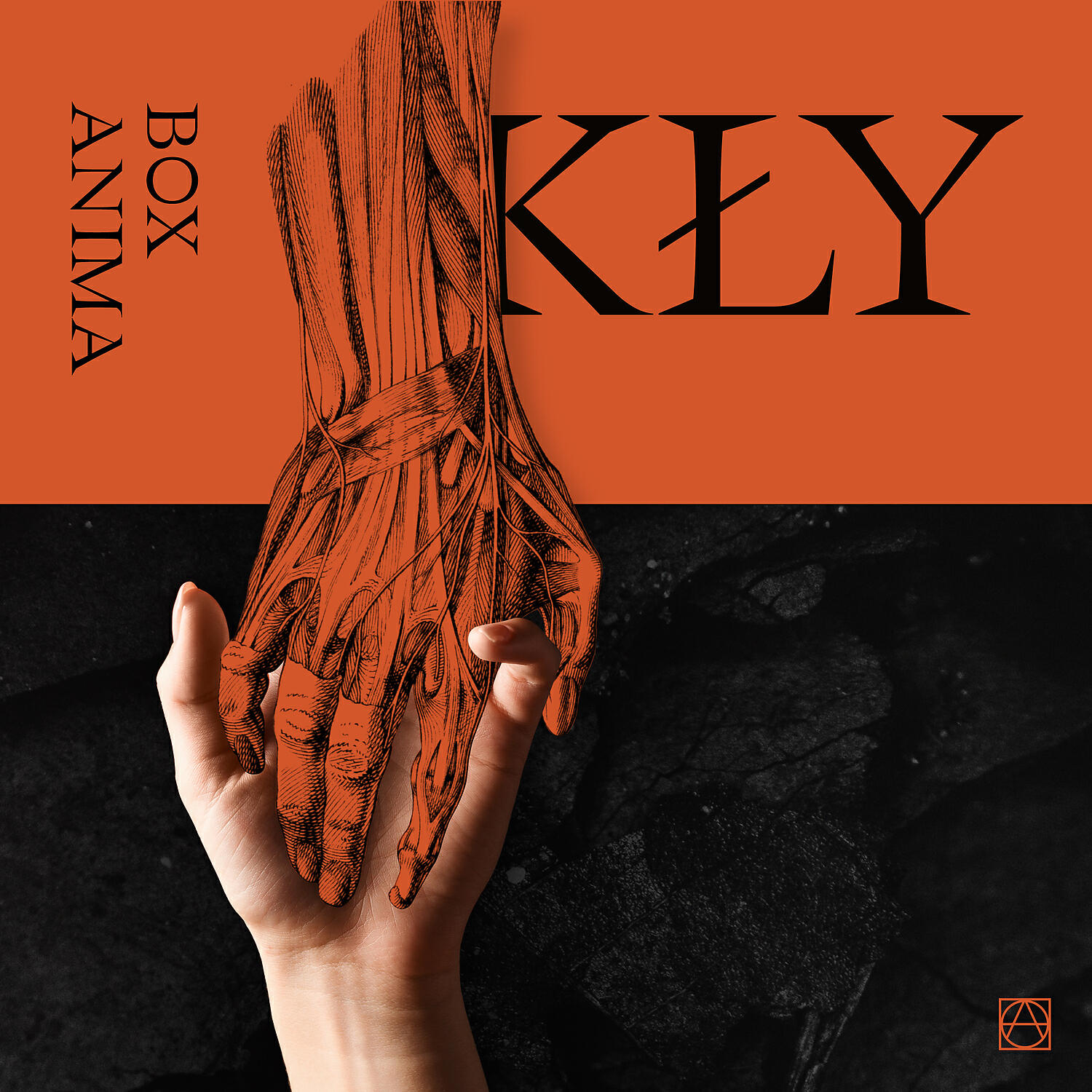Релиз Kly