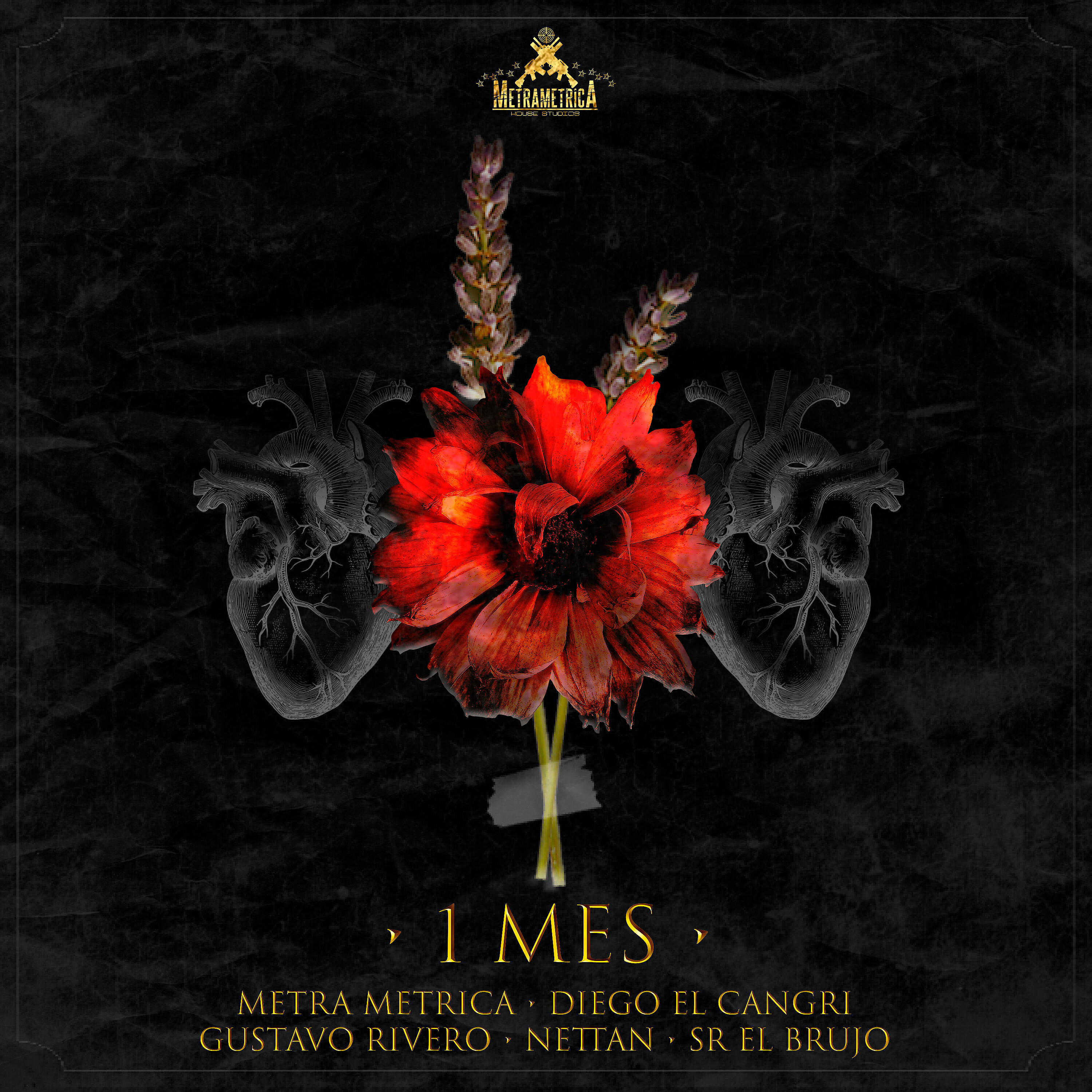 Релиз 1 Mes