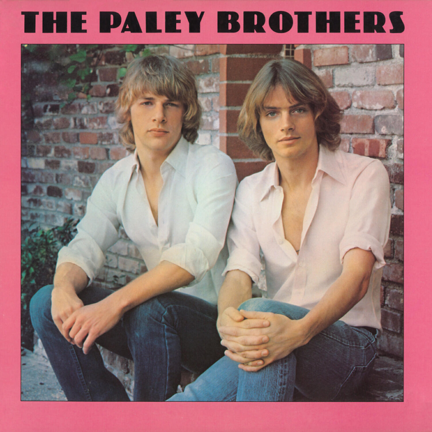 Релиз Paley Brothers